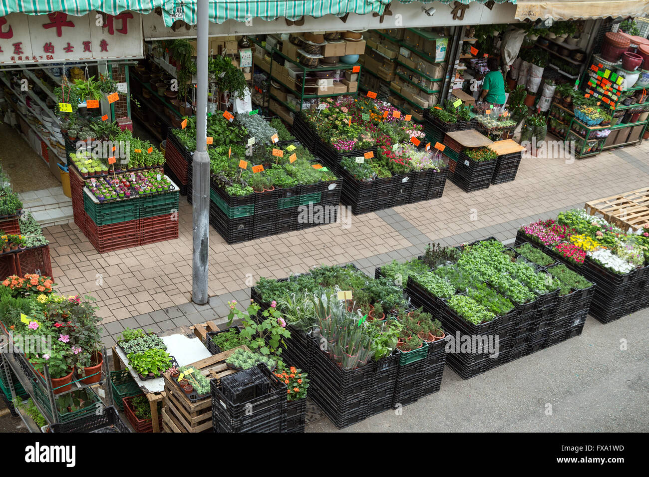 Flower Market Road à Kowloon à Hong Kong, Chine, vue de dessus). Banque D'Images