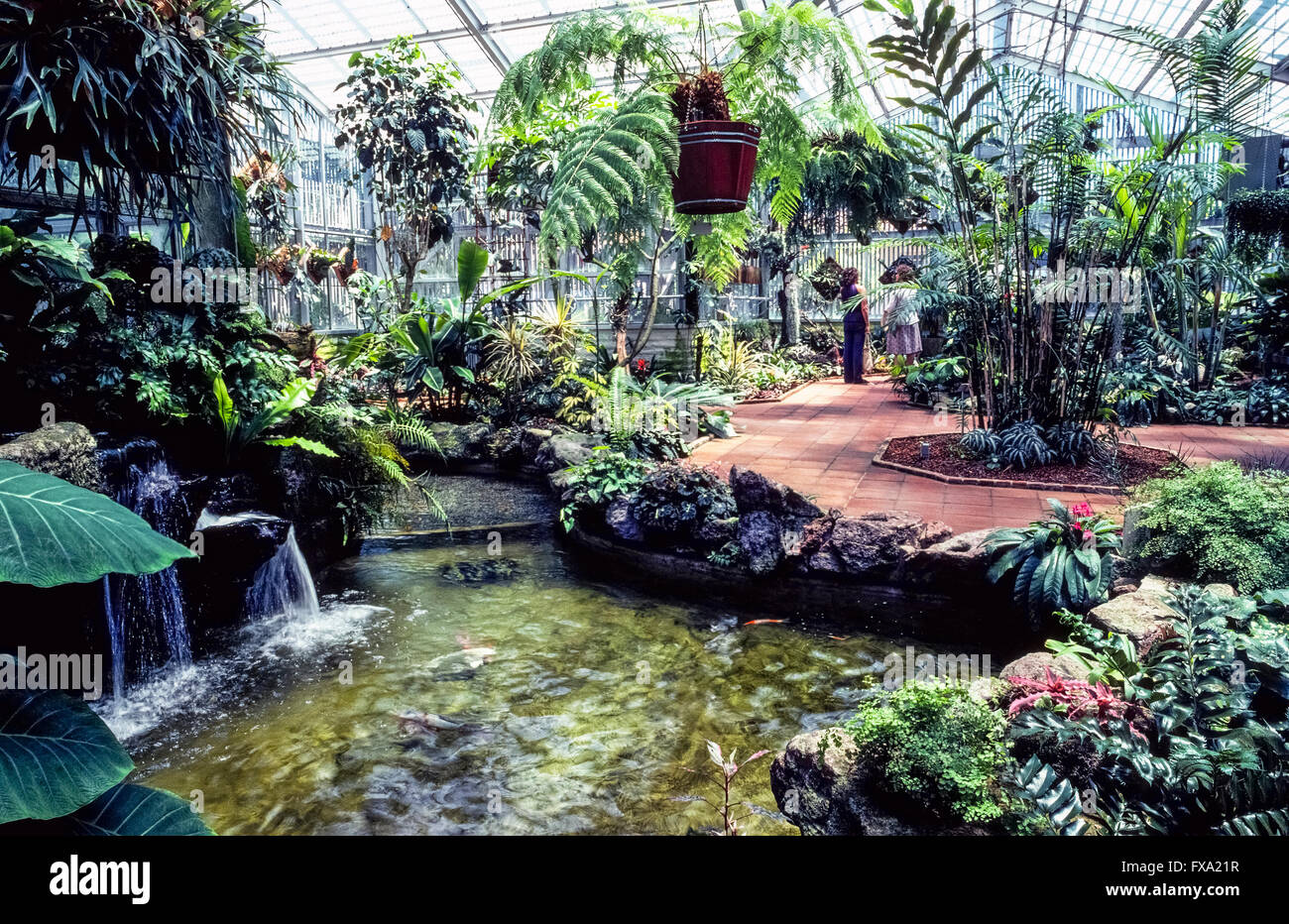 Le Sherman Library & Gardens à Corona del Mar, Orange County, Californie, USA, est une attraction touristique unique avec des plantes du monde entier et historique un aperçu de la région du Sud-Ouest du Pacifique. Le Sherman Gardens ressemble à un musée de la vie des plantes qui s'affichent au milieu de fontaines, de sculptures et de fleurs de saison. Ce jardin botanique oasis dispose d Rose, Herb, Cactus et les jardins japonais, ainsi qu'une grotte de fougère et le conservatoire de plantes tropicales vu ici. Dans le Sherman Library's little adobe maison sont en train de changer les pièces qui illustrent le patrimoine de la région du Sud-Ouest du Pacifique. Banque D'Images