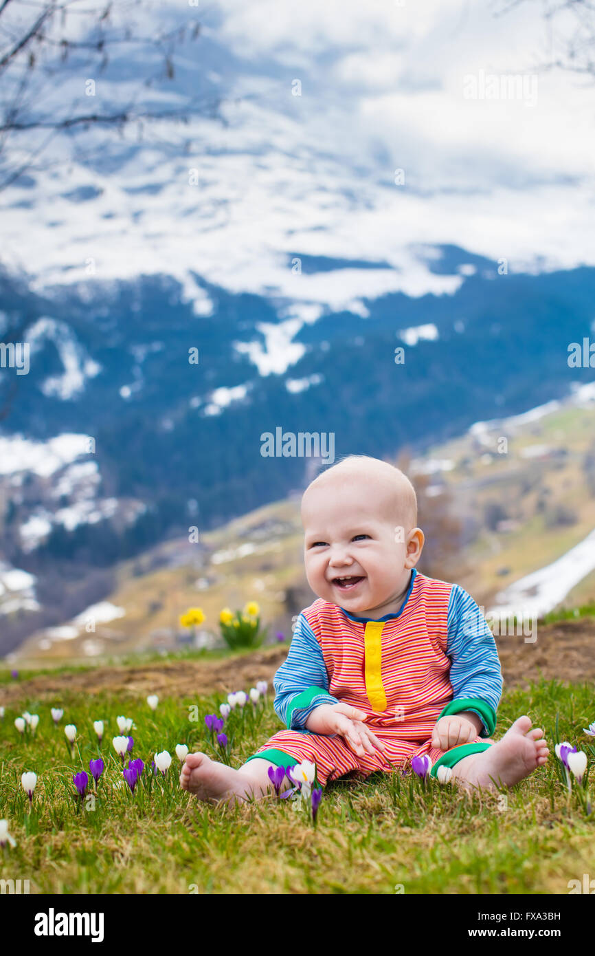 Petit bébé jouant avec crocus fleurs dans les Alpes au printemps. Enfant en pré des fleurs avec des pics de montagne couverte de neige Banque D'Images