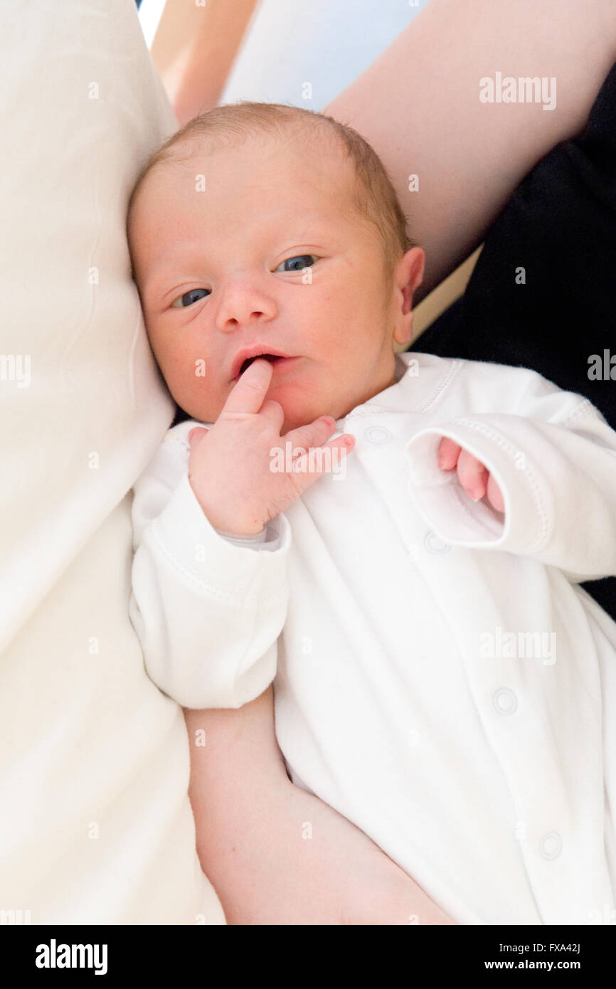Un Beau Bebe Nouveau Ne Garcon Dans Un Costume De Sommeil Blanc Suce Son Doigt Dans Sa Bouche Tandis Que Dans Les Bras De Sa Mere Photo Stock Alamy