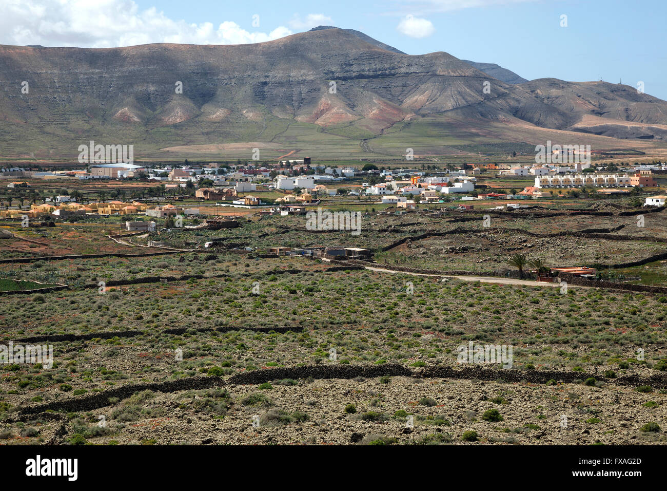 Vue de La Oliva, Fuerteventura, Îles Canaries, Espagne Banque D'Images