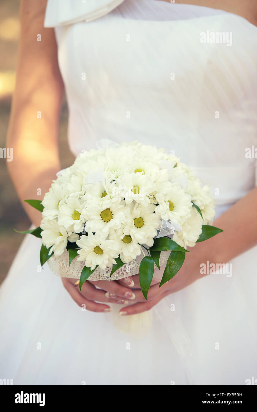 Camomille avec bouquet dans les mains de la mariée Banque D'Images Camomille avec bouquet dans les mains de la mariée Banque D'Images