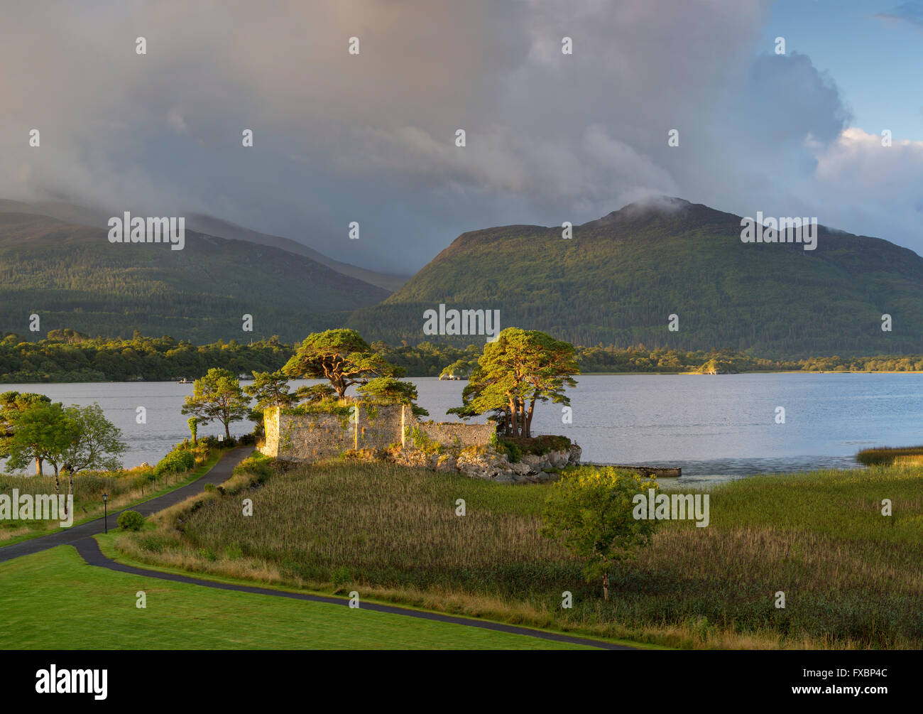 Aube sur McCarthy Mor château le long de Lough Leane, le Parc National de Killarney, comté de Kerry, Irlande Banque D'Images