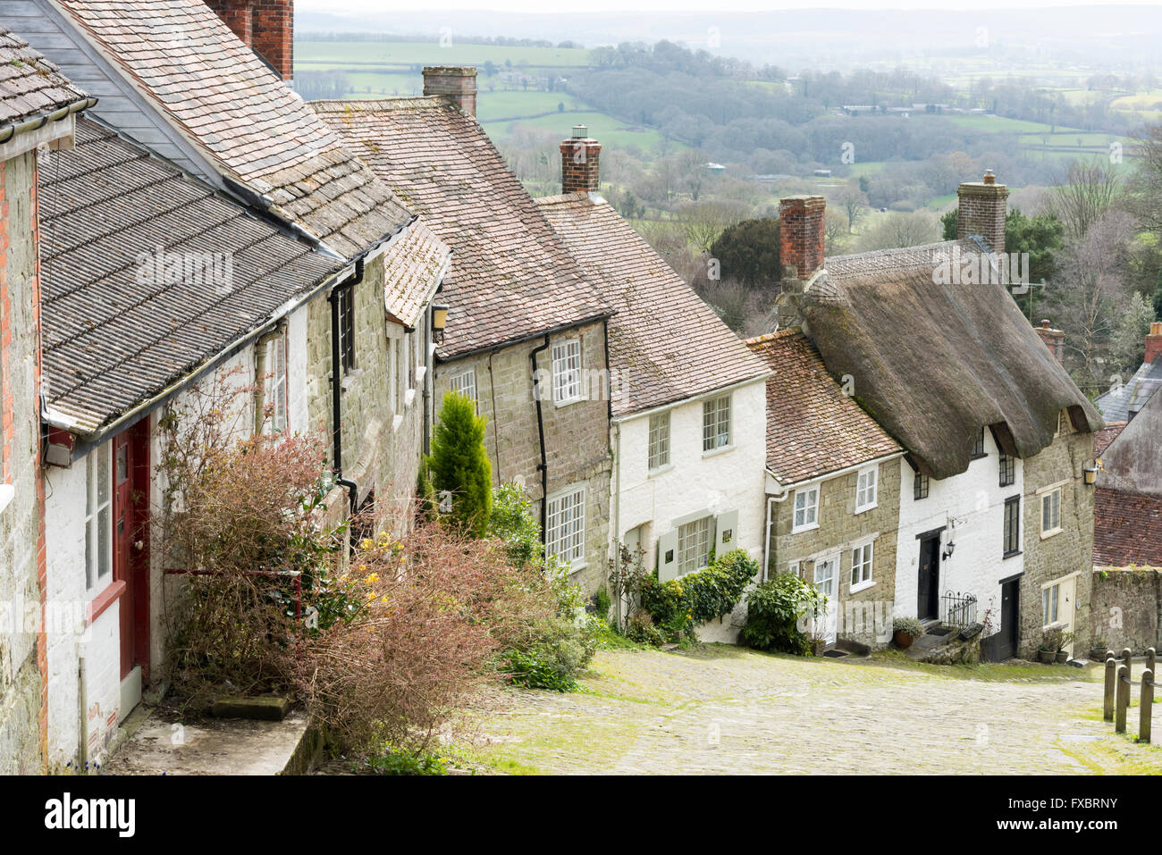 Maison sur la colline d'Or, le Dorset UK Shaftsbury Hill Hovis utilisée pour les années 1970, le spot TV du pain Hovis Banque D'Images