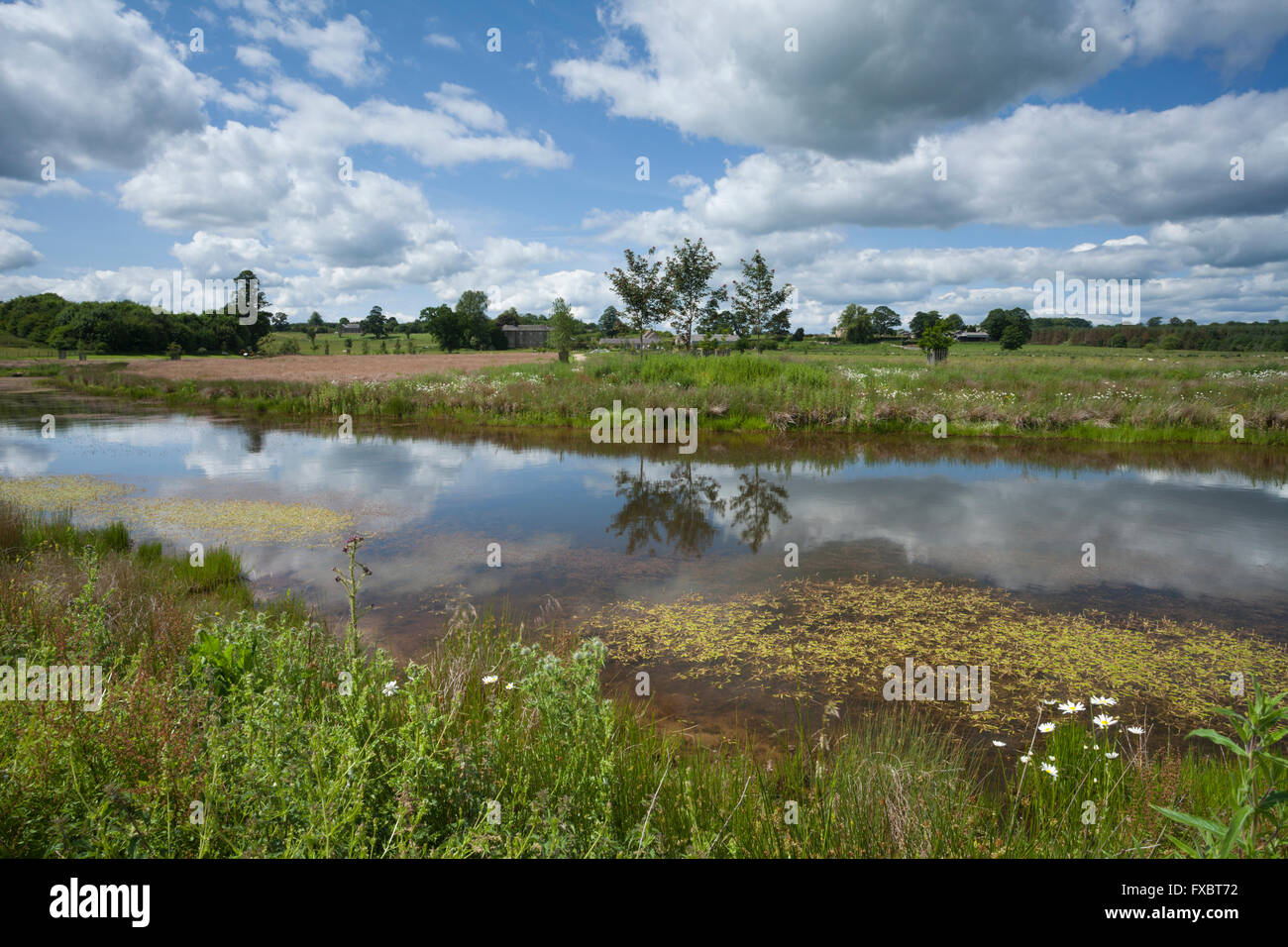 À l'échelle du lac Serpentine au petit village de Kirkharle, lieu de naissance de Lancelot Capability Brown, Northumberland, England Banque D'Images
