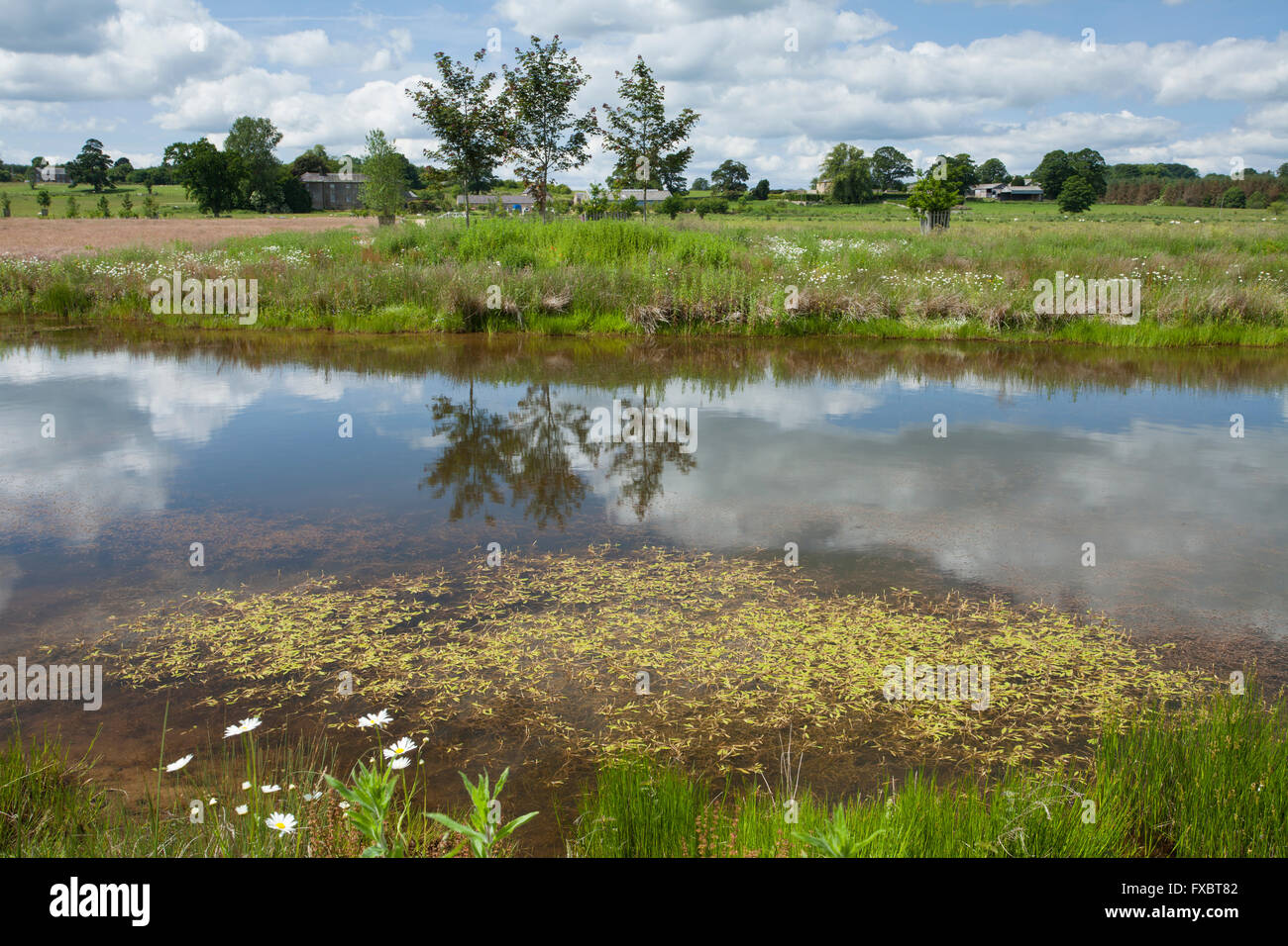 À l'échelle du lac Serpentine au petit village de Kirkharle, lieu de naissance de Lancelot Capability Brown, Northumberland, England Banque D'Images