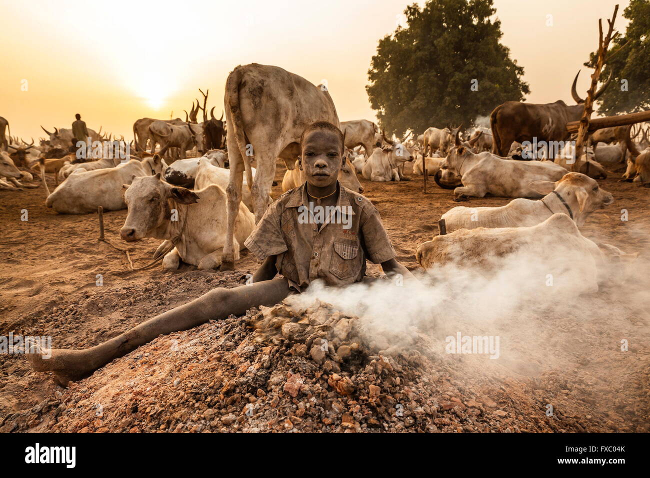 Le Soudan du Sud. Feb 23, 2016. Un jeune garçon est assis Mundari dans les cendres d'un feu couvant dung pour garder au chaud. Ankole-Watusi, également connu sous le nom de Longhorn Ankole, ou "bétail de Kings' est un livre de 900 à 1 600 bovins de race Landrace Originaire de l'Afrique avec des cornes qui peuvent atteindre jusqu'à 8 pi de hauteur. © Tarek Zaidi/ZUMA/ZUMAPRESS.com/Alamy fil Live News Banque D'Images