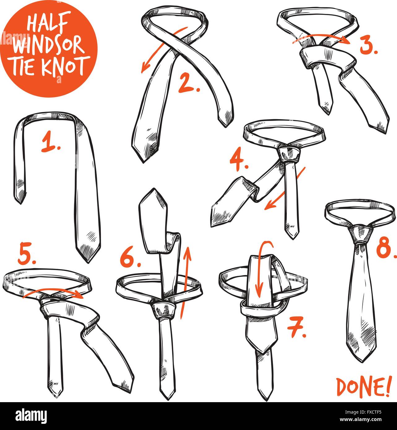 Croquis de noeud de cravate Image Vectorielle Stock - Alamy