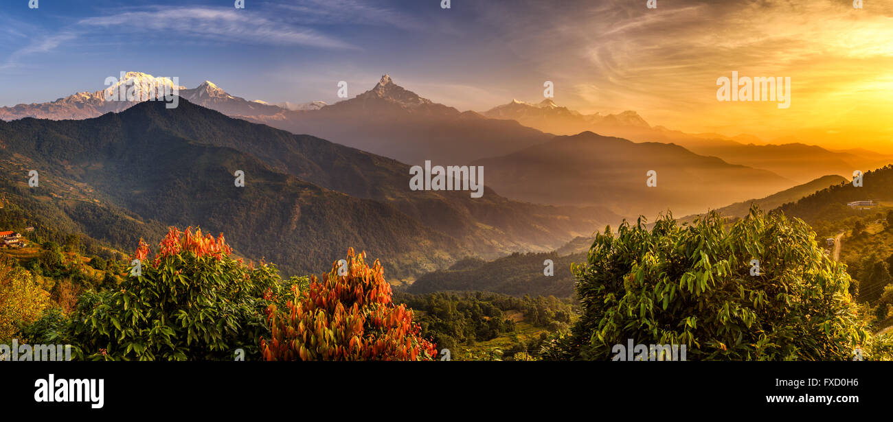 Lever de soleil sur l'Annapurna. L'Annapurna est un ensemble de montagnes dans l'Himalaya, près de Pokhara au Népal Banque D'Images