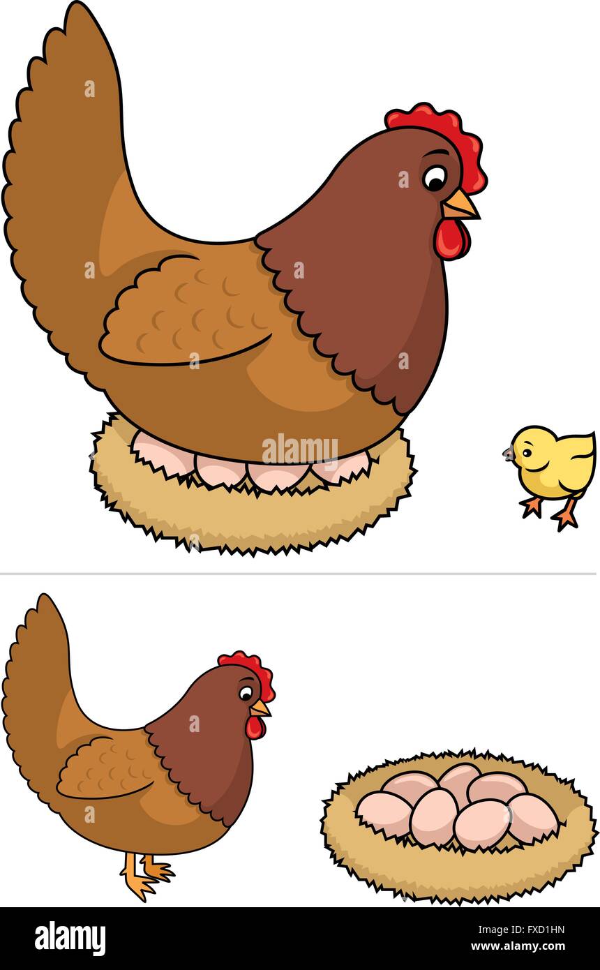 L'éclosion des œufs de poule est. Illustration de Vecteur