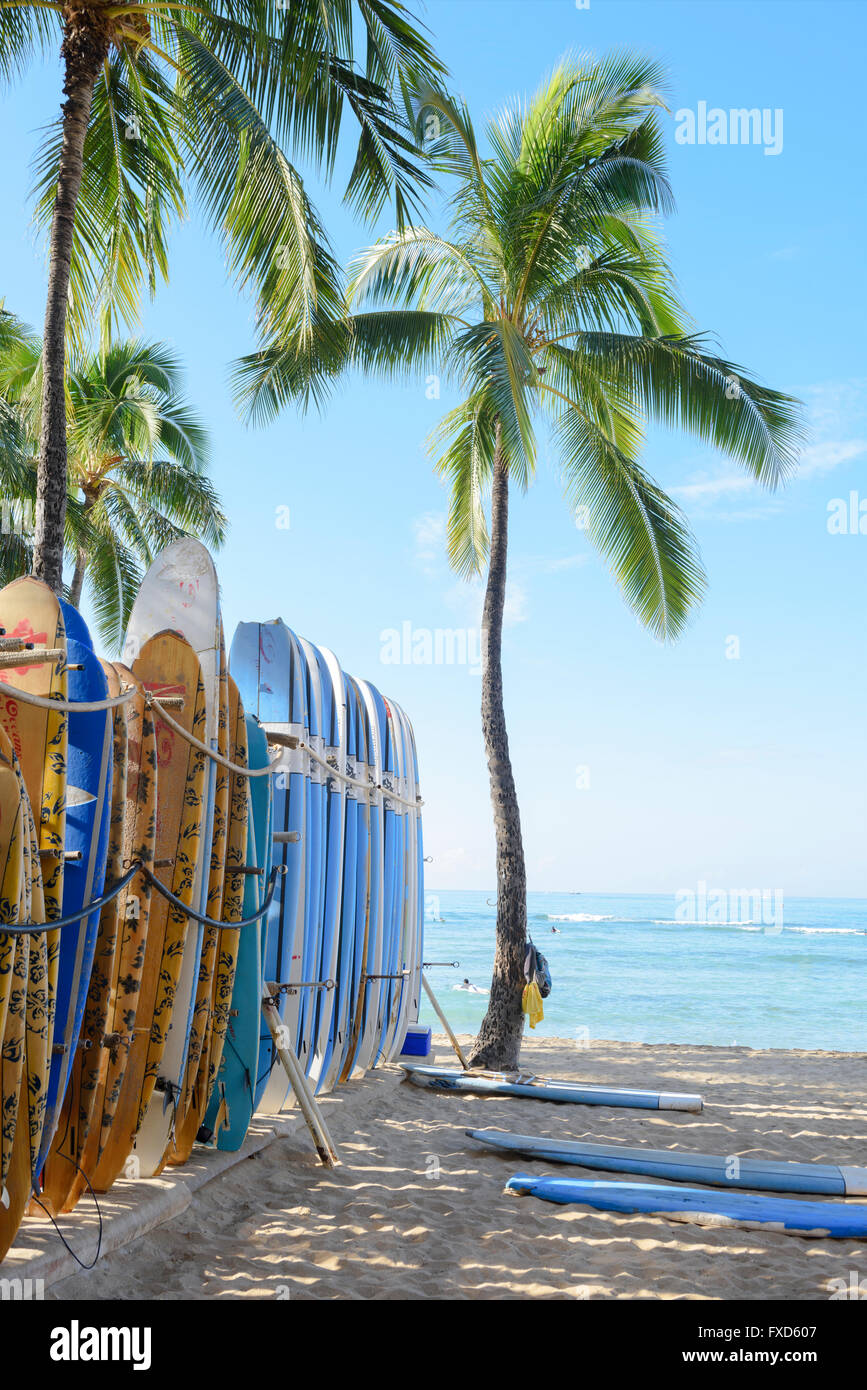 USA, Hawaii, Oahu, Honolulu, Waikiki, plage avec des planches de surf Banque D'Images
