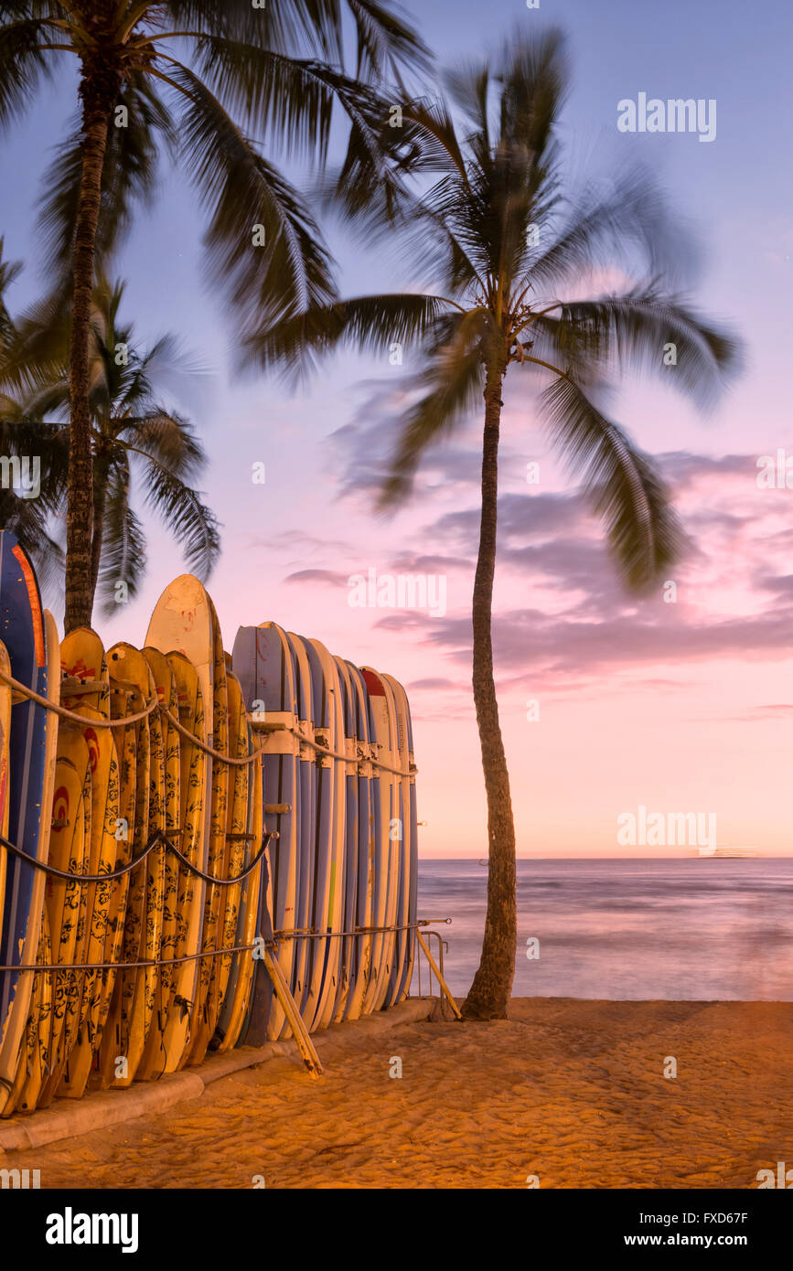 USA, Hawaii, Oahu, Waikiki Beach at sunset Banque D'Images