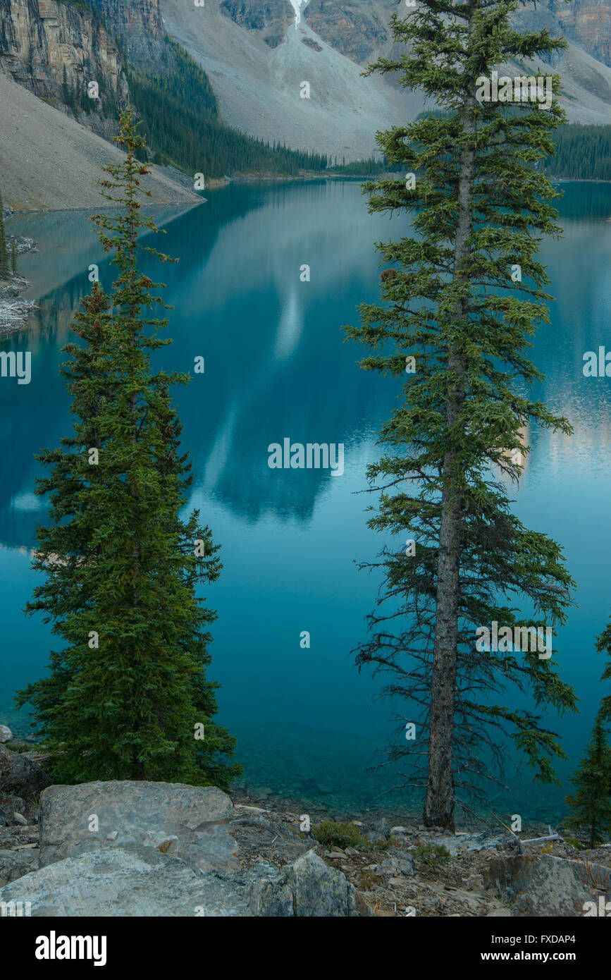 Moraine Lake, lac glaciaire, dans la lumière du soir, la vallée des Dix-Pics, Rocheuses, Banff National Park Banque D'Images