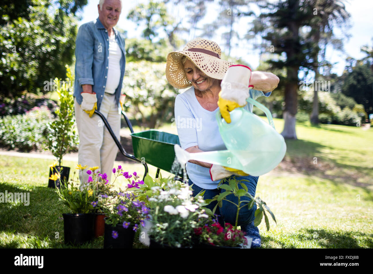 L'arrosage des plantes à fleurs femme senior dans le parc Banque D'Images