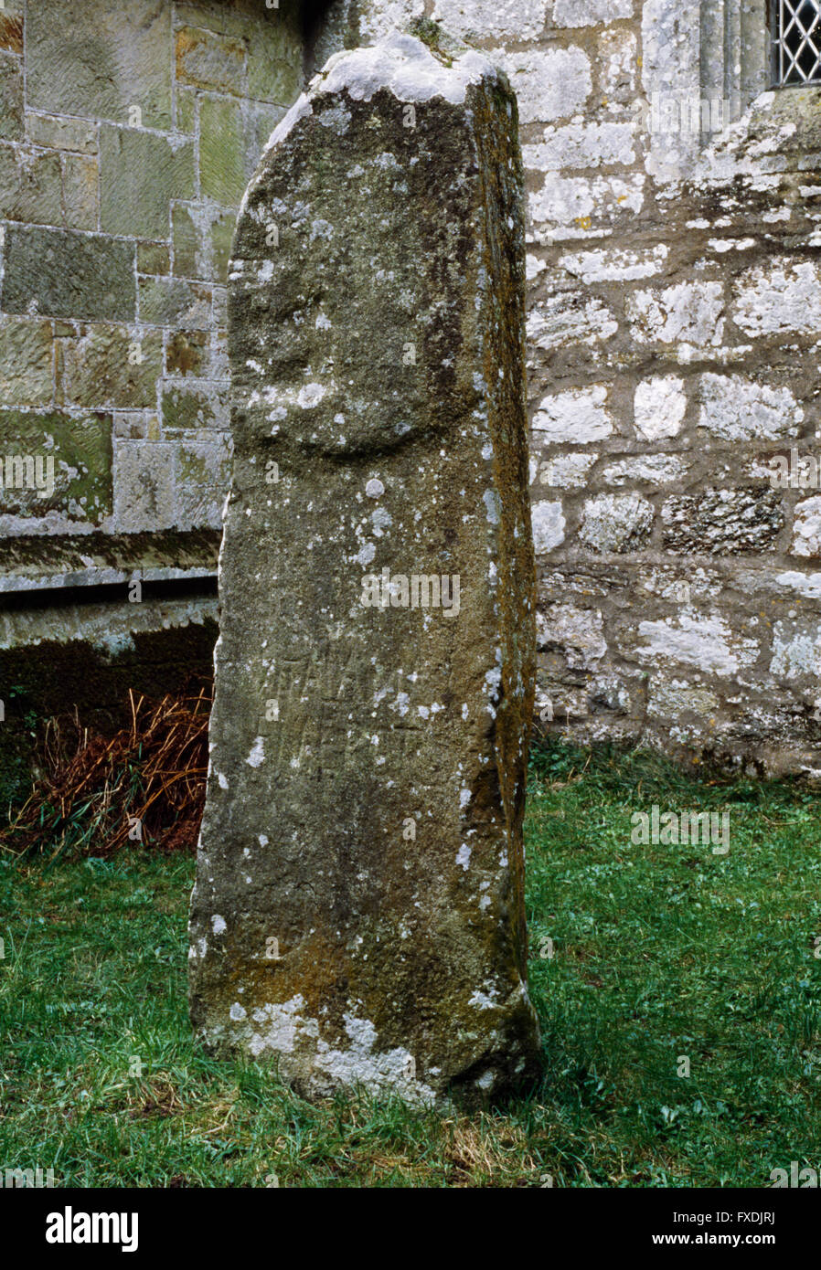 C5th/début C6e pierre commémorative à l'extérieur de l'église Nevern, Pembrokeshire, avec l'horizontale & verticale (ogham) inscriptions à l'ogam Vitalianus. Banque D'Images