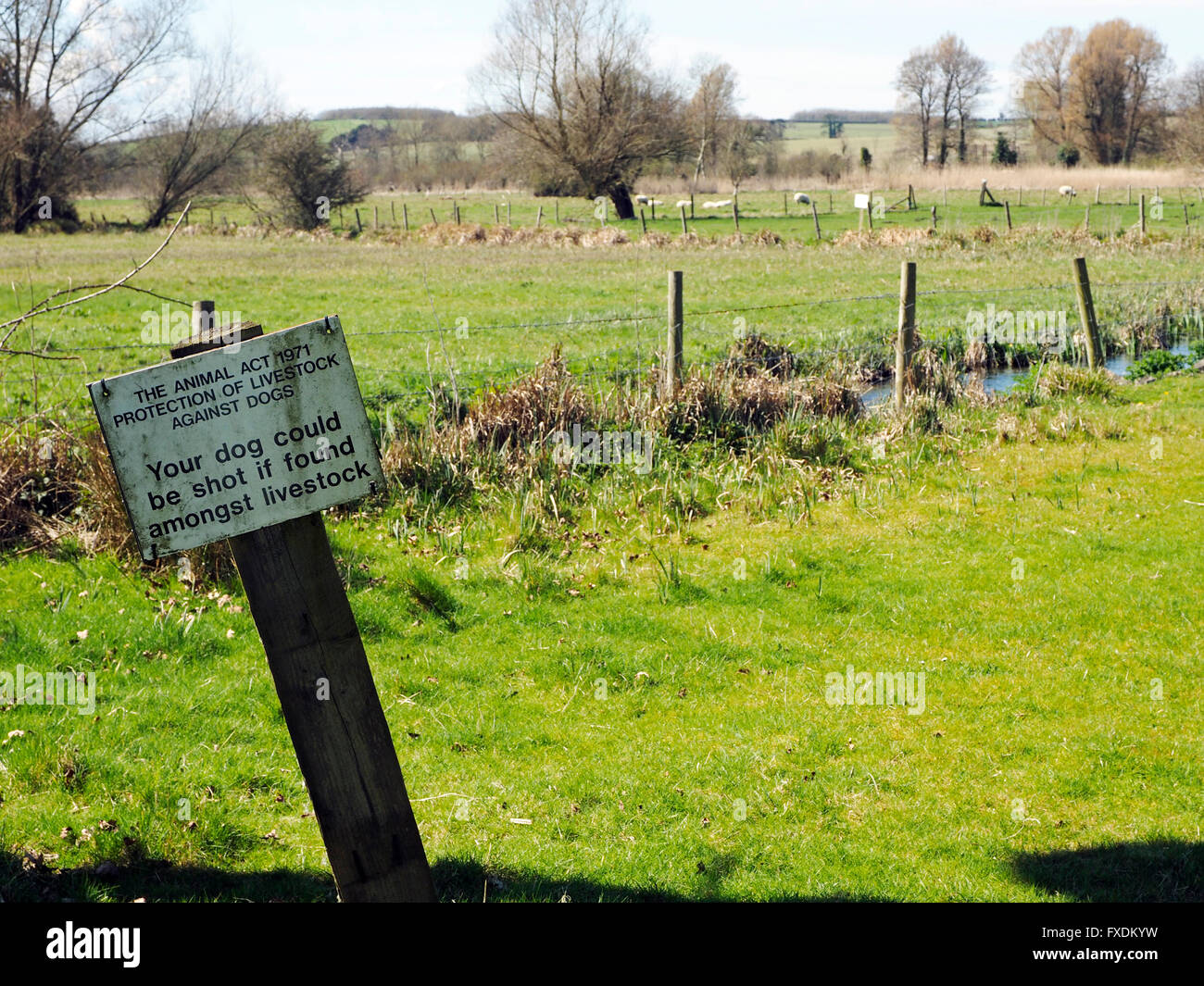 Panneau d'avertissement pour les propriétaires de chiens sur les pâtures dans la vallée d'essai - les chiens pourraient être tiré si parmi le bétail. Banque D'Images