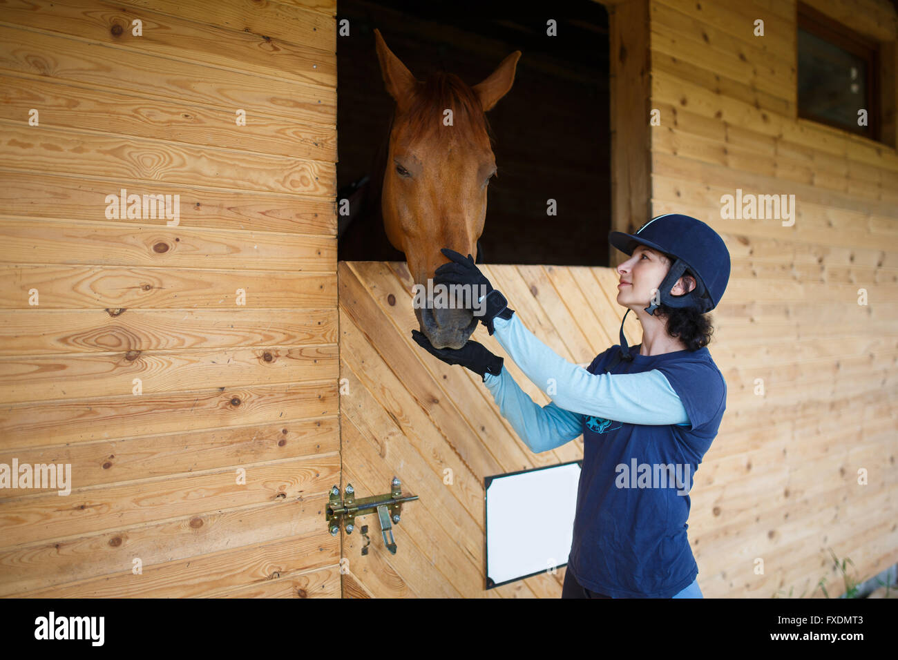 Rider connexion avec cheval brun dans une étable Banque D'Images