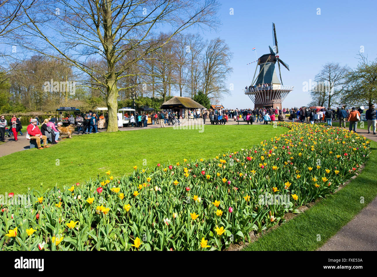 Les touristes visitent 'Keukenhof' au printemps. C'est un jardin de fleurs populaires avec plus d'un million de visiteurs par an. Banque D'Images