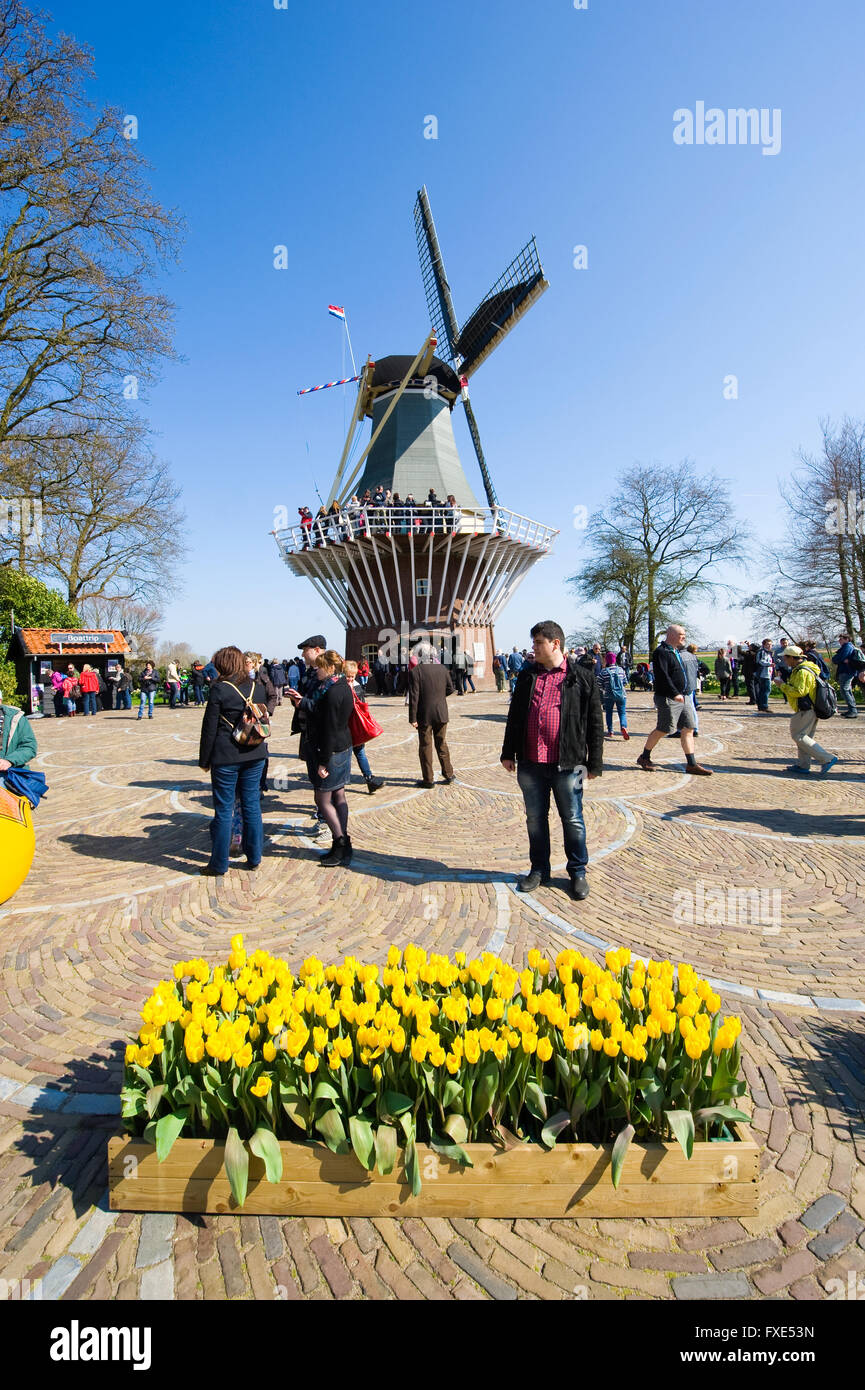 Les touristes visitent 'Keukenhof' au printemps. C'est un jardin de fleurs populaires avec plus d'un million de visiteurs par an. Banque D'Images
