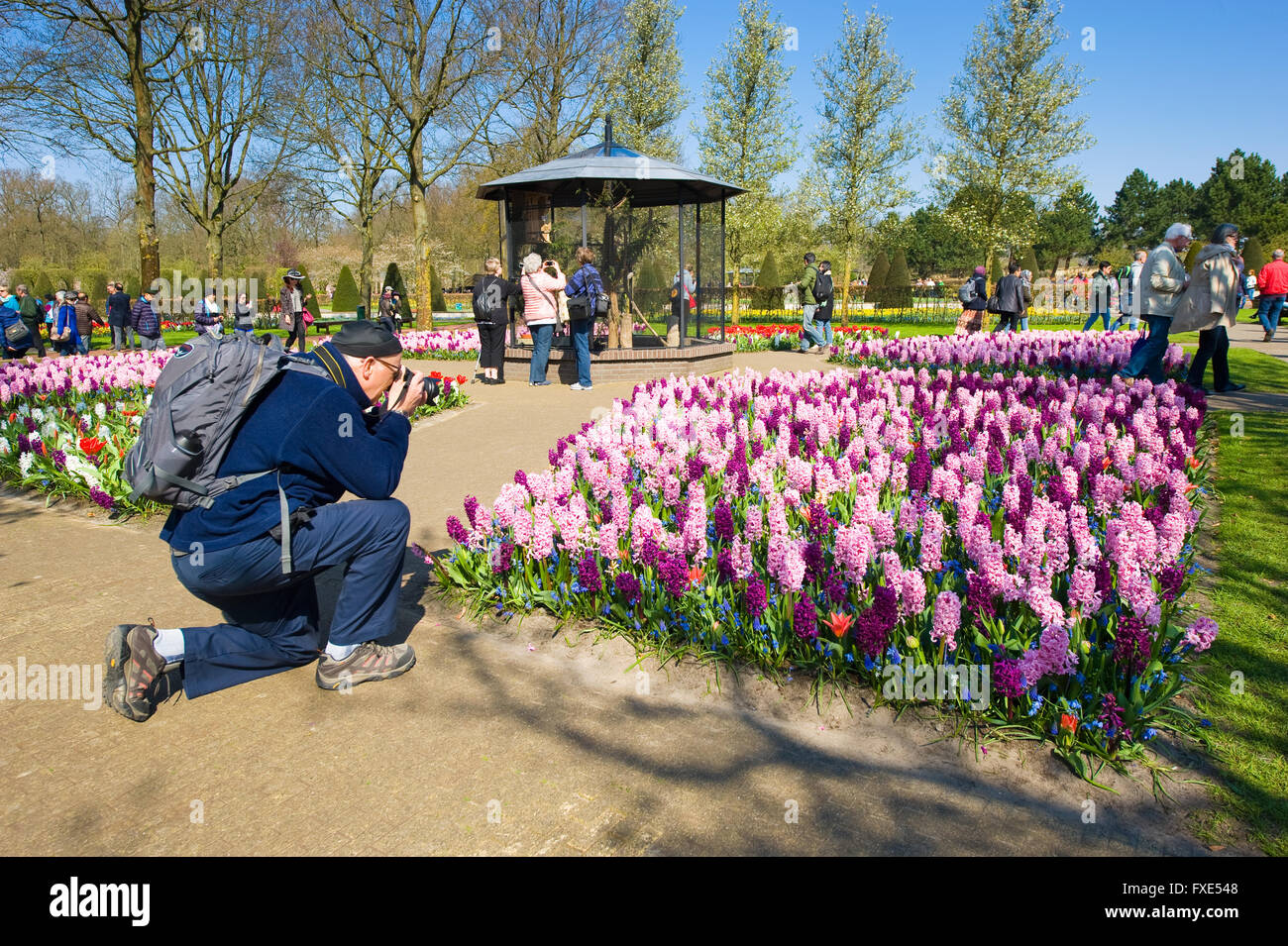 Les touristes visitent 'Keukenhof' au printemps. C'est un jardin de fleurs populaires avec plus d'un million de visiteurs par an. Banque D'Images