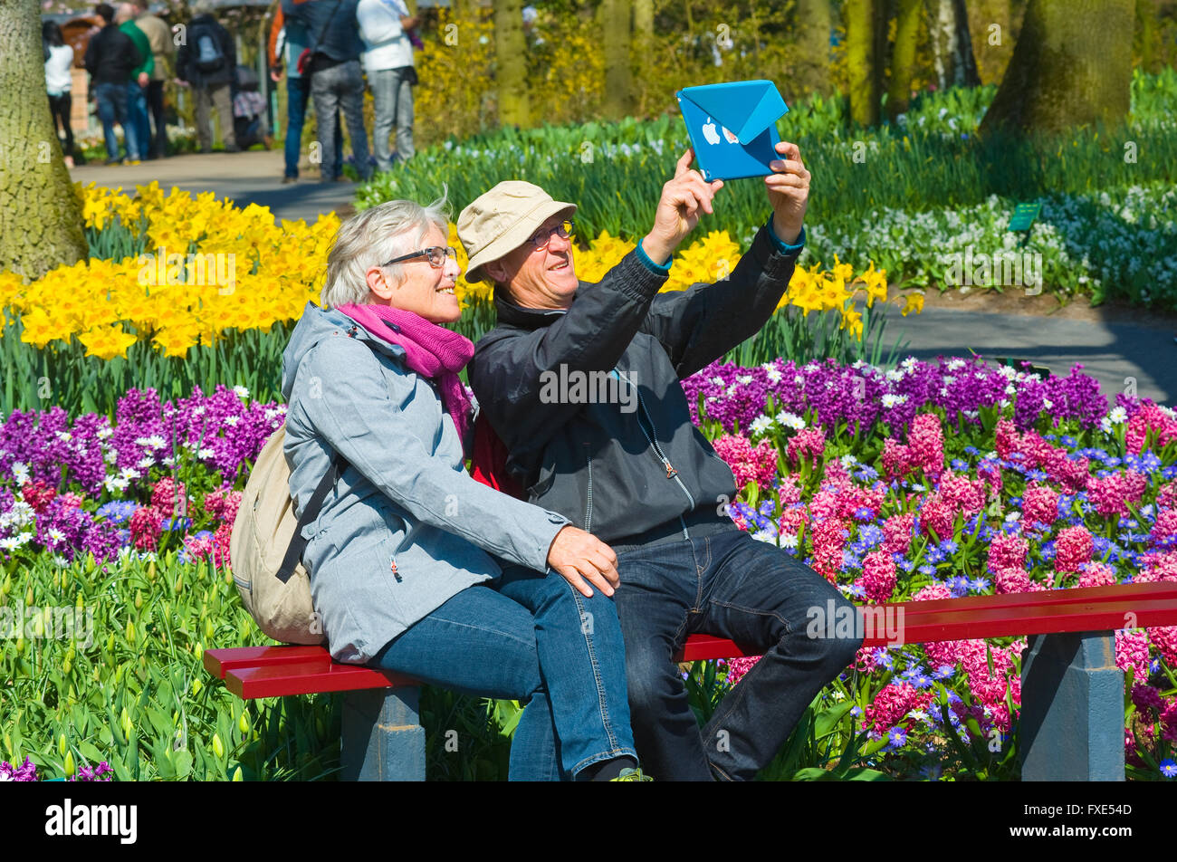 Les touristes visitent 'Keukenhof' au printemps. C'est un jardin de fleurs populaires avec plus d'un million de visiteurs par an. Banque D'Images