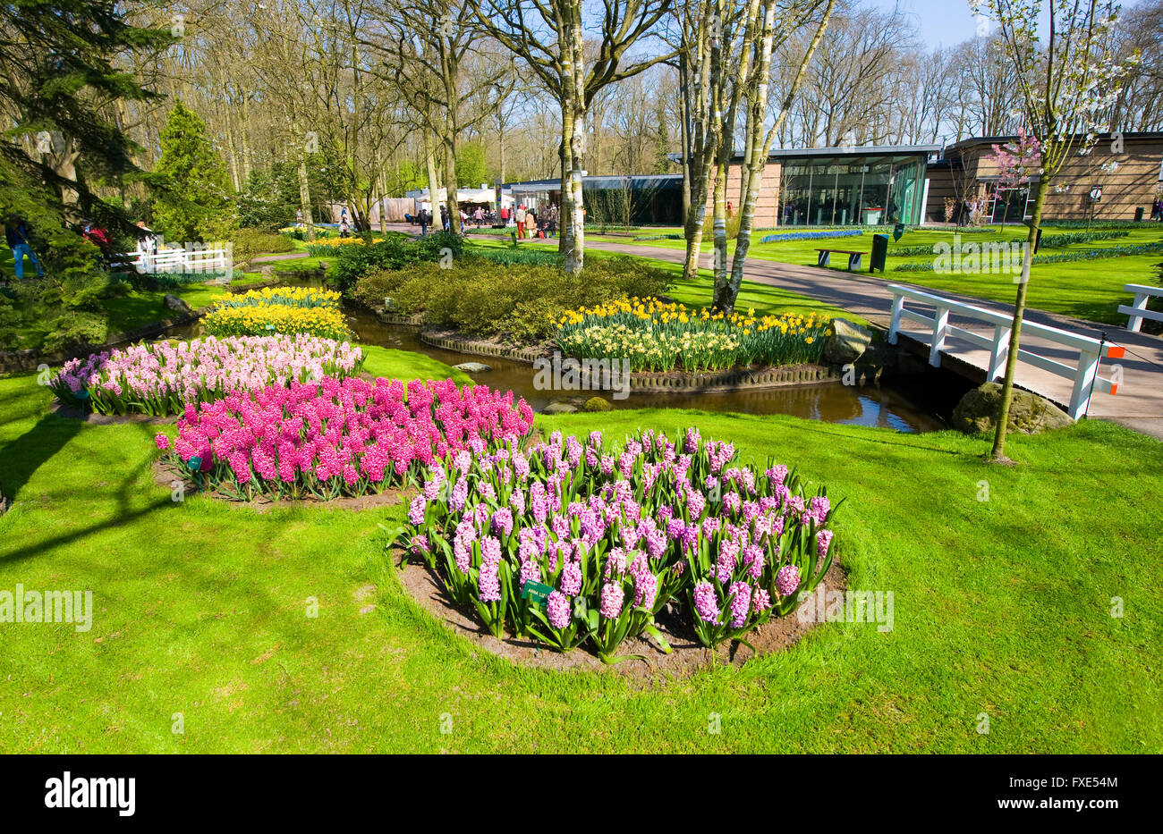 Le Keukenhof est un jardin de fleurs populaires qui est visité par un million de touristes de partout dans le monde. Banque D'Images