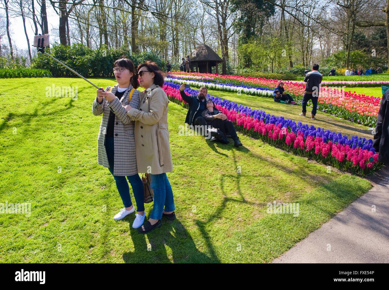 Les touristes visitent 'Keukenhof' au printemps. C'est un jardin de fleurs populaires avec plus d'un million de visiteurs par an. Banque D'Images