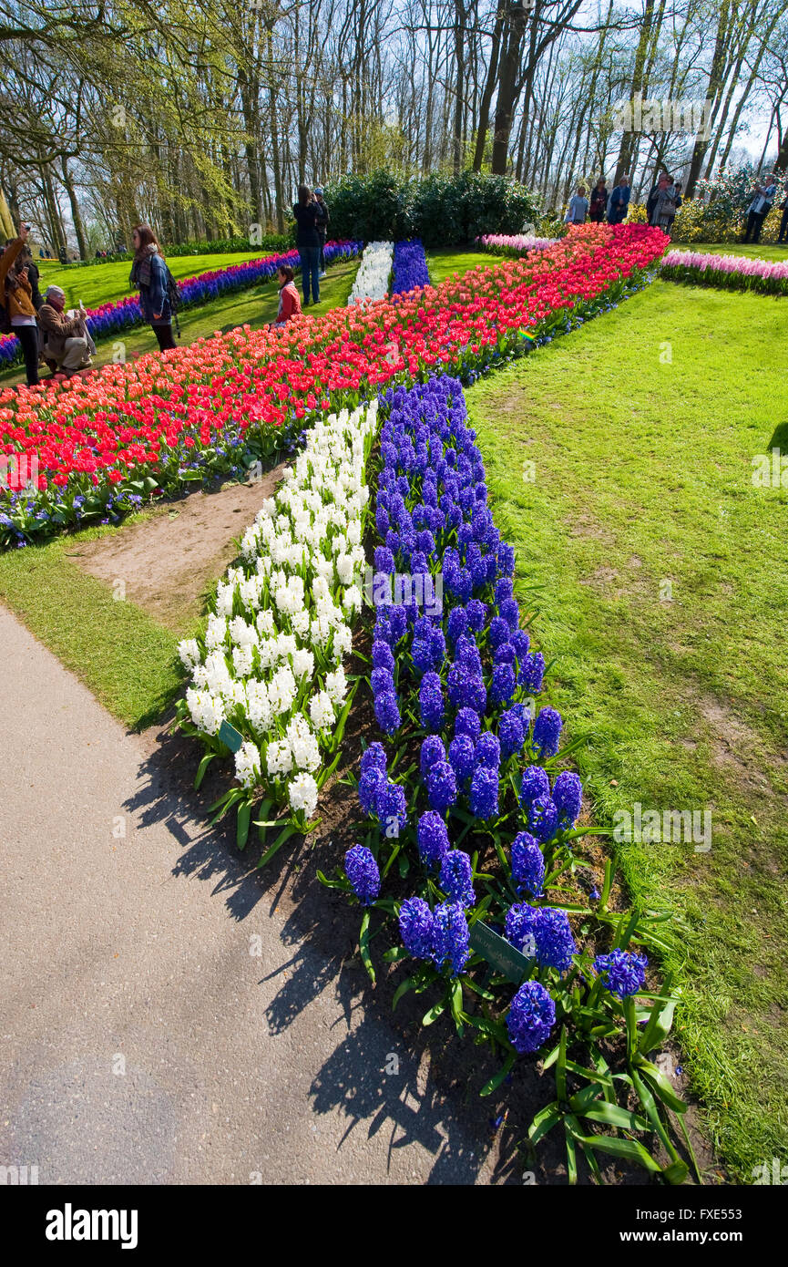 Les touristes visitent 'Keukenhof' au printemps. C'est un jardin de fleurs populaires avec plus d'un million de visiteurs par an. Banque D'Images