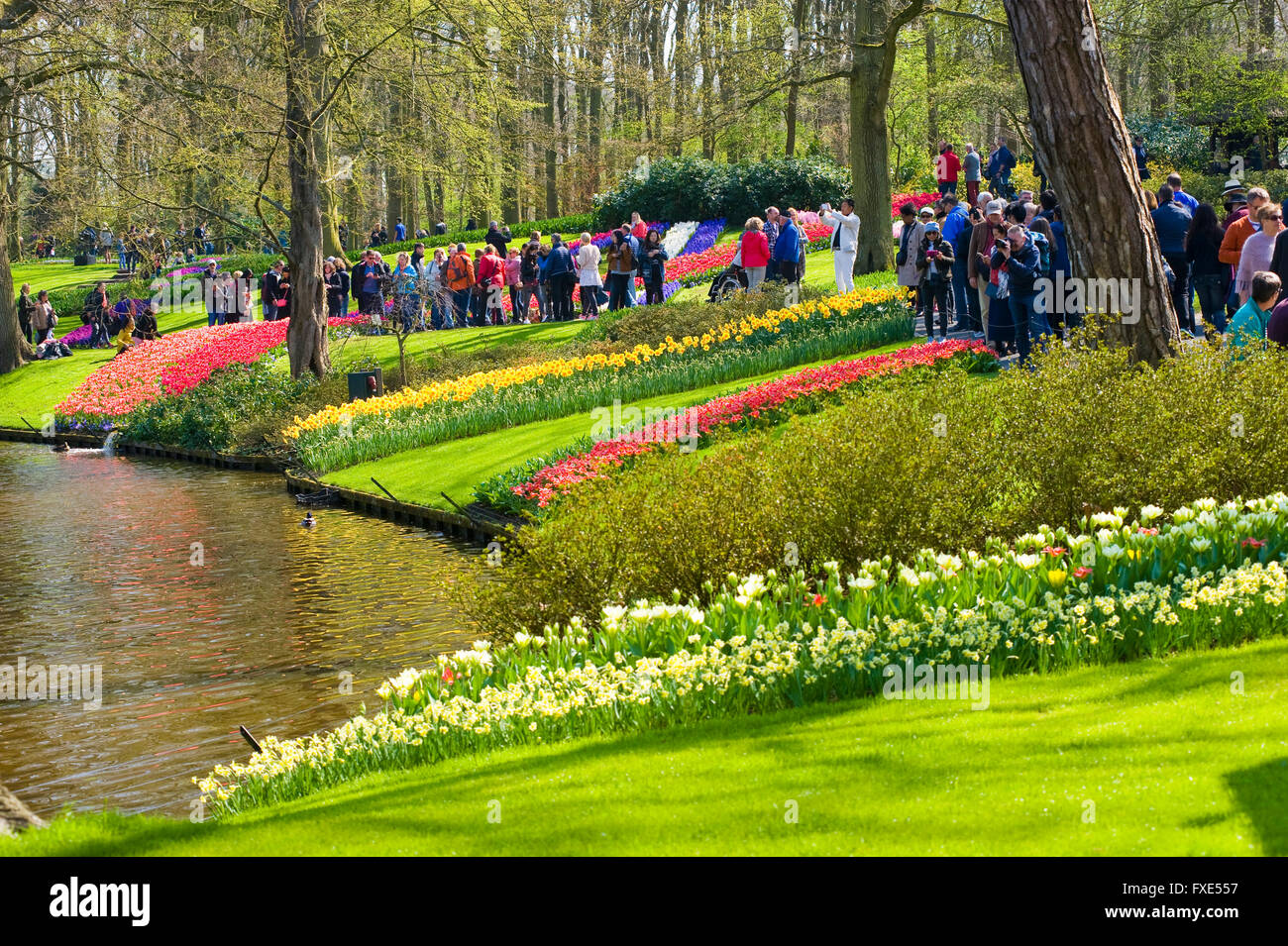 Les touristes visitent 'Keukenhof' au printemps. C'est un jardin de fleurs populaires avec plus d'un million de visiteurs par an. Banque D'Images