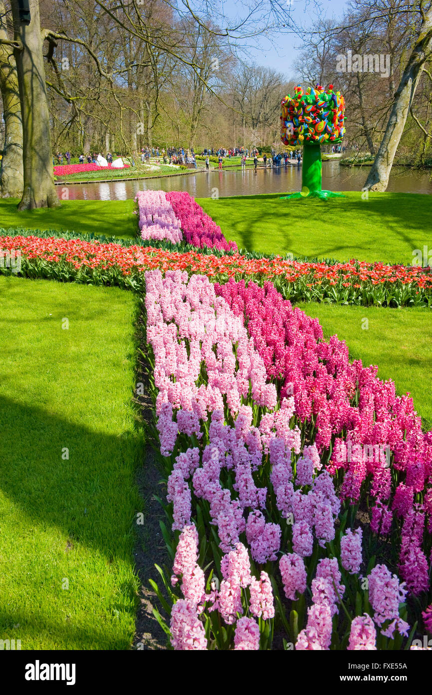 Le Keukenhof est un jardin de fleurs populaires qui est visité par un million de touristes de partout dans le monde. Banque D'Images