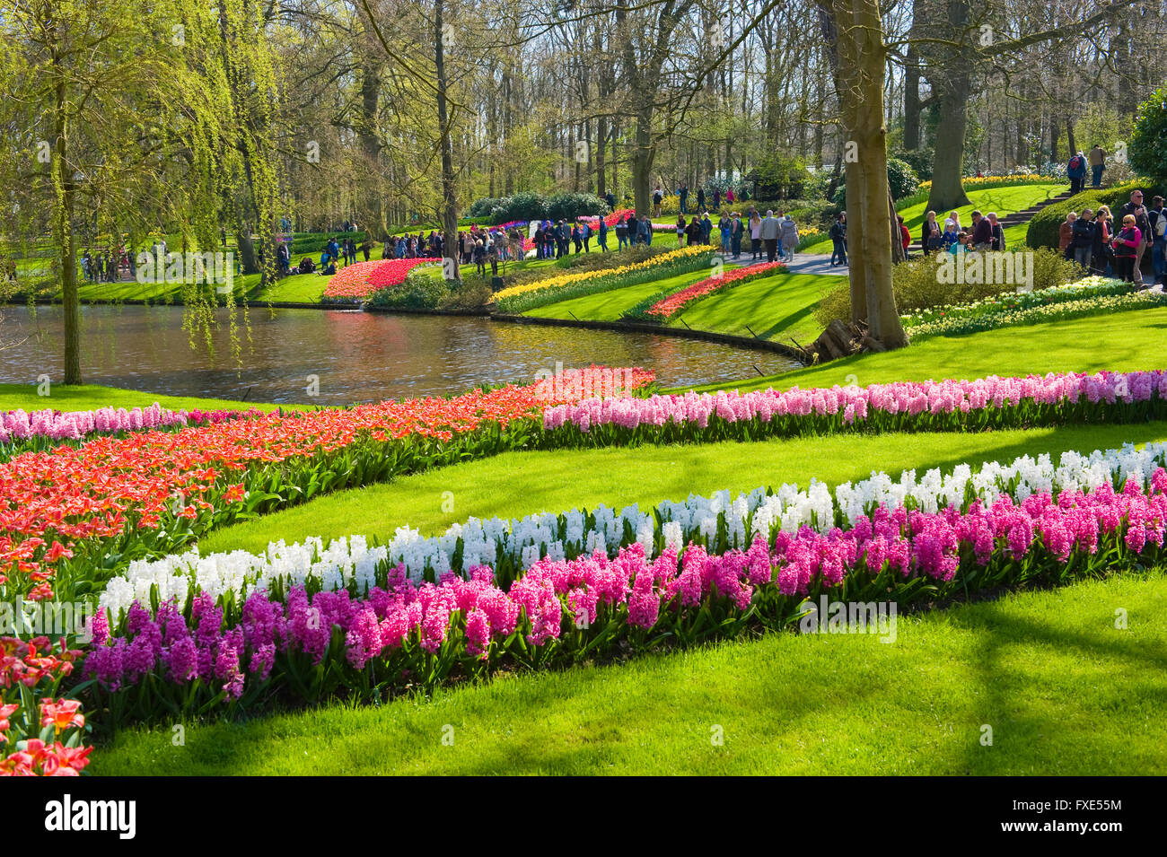 Les touristes visitent 'Keukenhof' au printemps. C'est un jardin de fleurs populaires avec plus d'un million de visiteurs par an. Banque D'Images