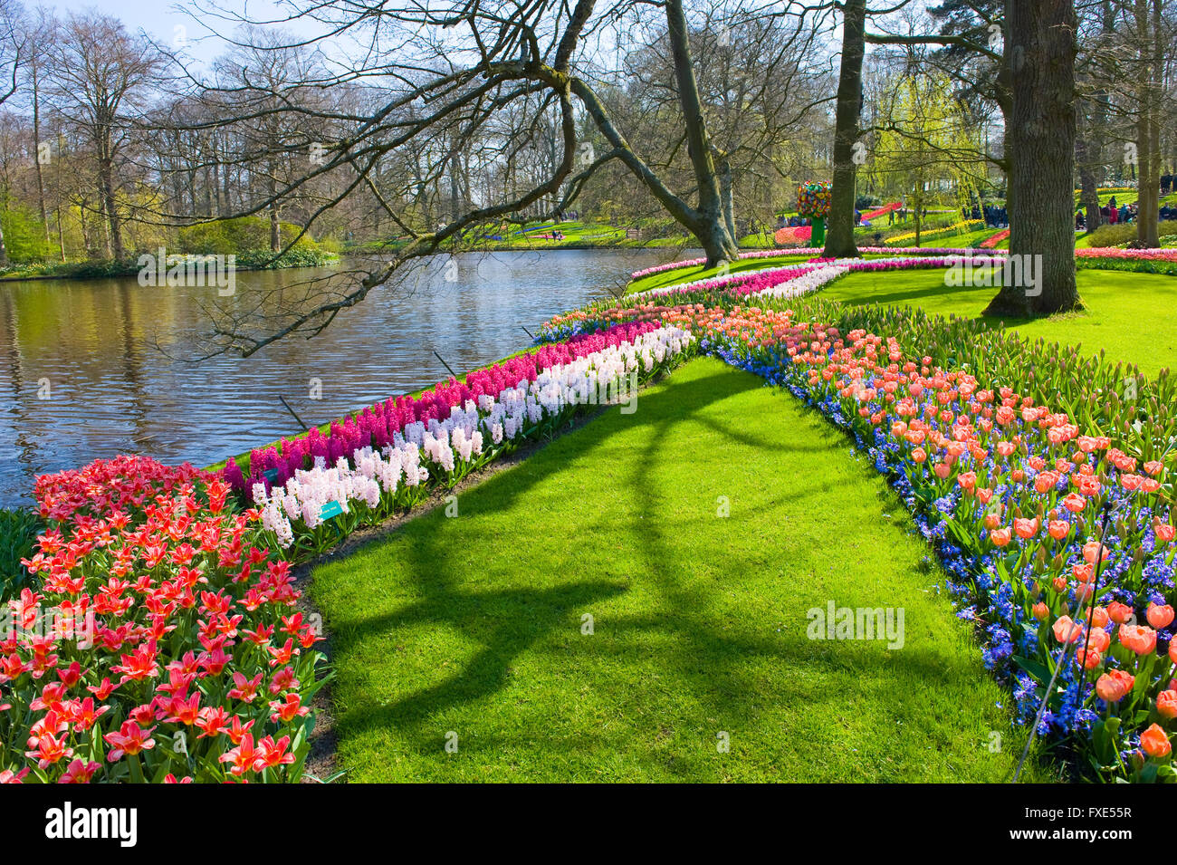 Le Keukenhof est un jardin de fleurs populaires qui est visité par un million de touristes de partout dans le monde. Banque D'Images
