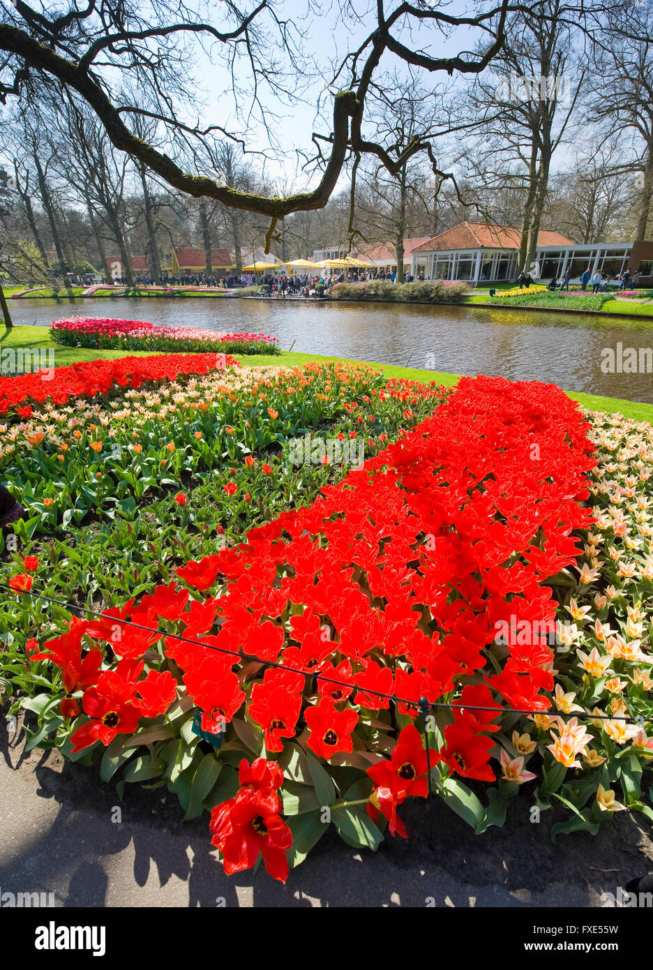 Le Keukenhof est un jardin de fleurs populaires qui est visité par un million de touristes de partout dans le monde. Banque D'Images