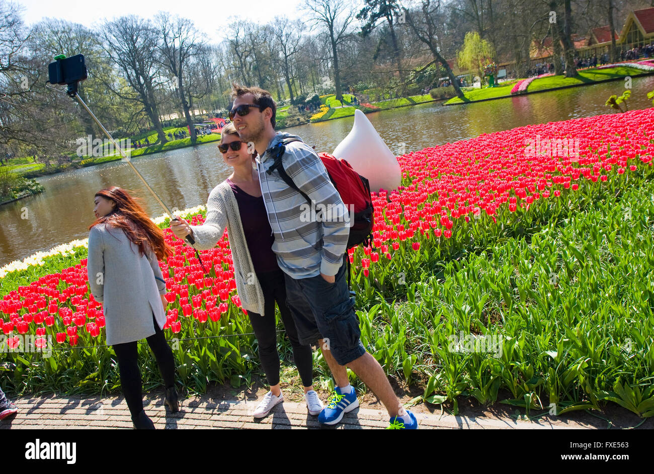 Les touristes visitent 'Keukenhof' au printemps. C'est un jardin de fleurs populaires avec plus d'un million de visiteurs par an. Banque D'Images