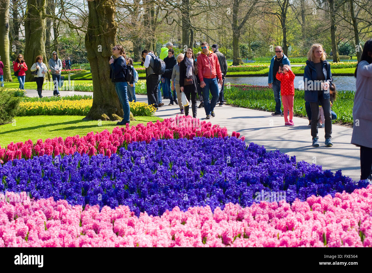 Les touristes visitent 'Keukenhof' au printemps. C'est un jardin de fleurs populaires avec plus d'un million de visiteurs par an. Banque D'Images