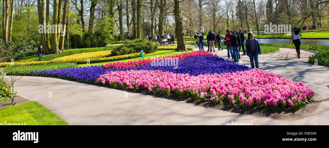 Les touristes visitent 'Keukenhof' au printemps. C'est un jardin de fleurs populaires avec plus d'un million de visiteurs par an. Banque D'Images