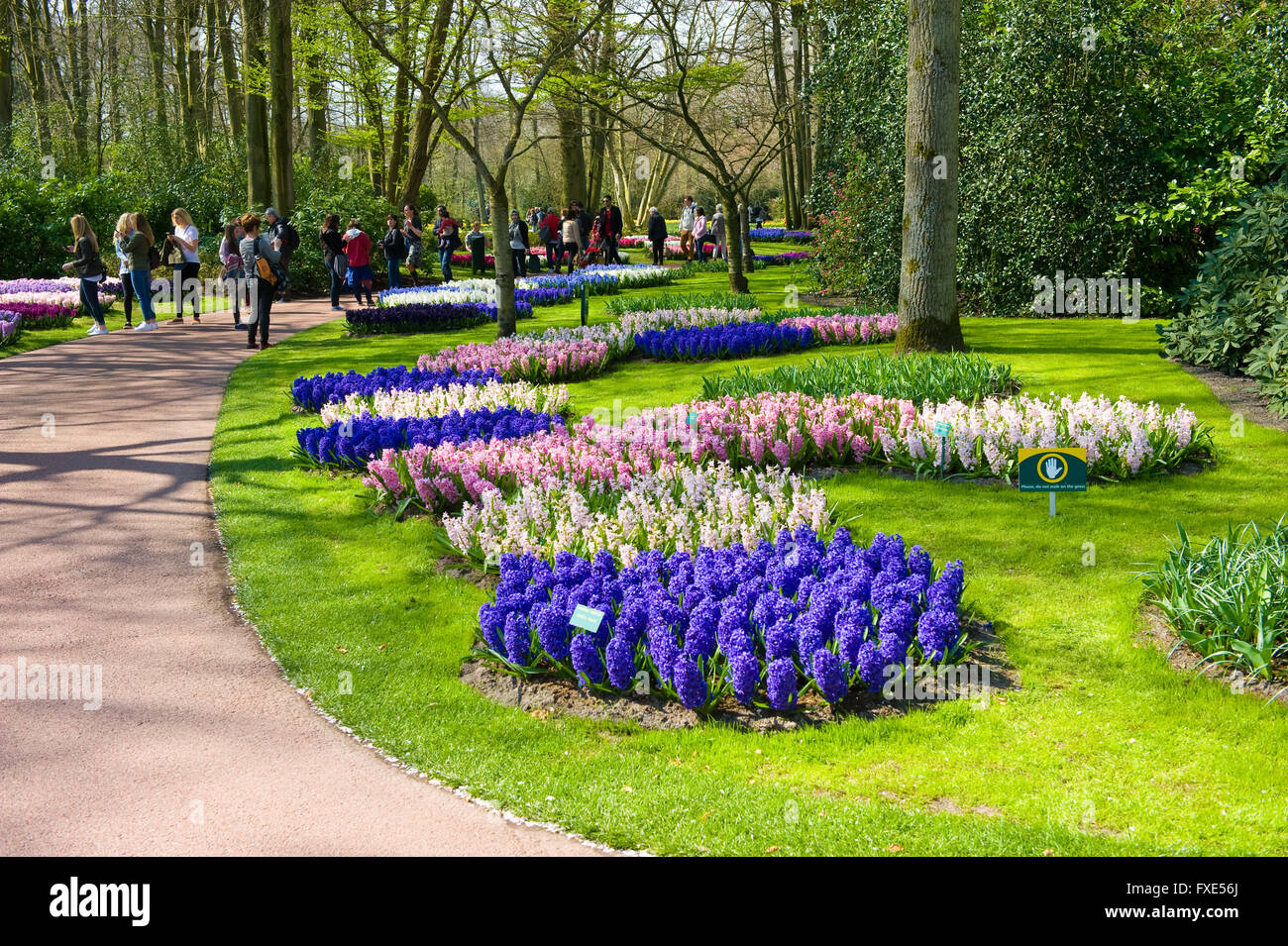 Les touristes visitent 'Keukenhof' au printemps. C'est un jardin de fleurs populaires avec plus d'un million de visiteurs par an. Banque D'Images