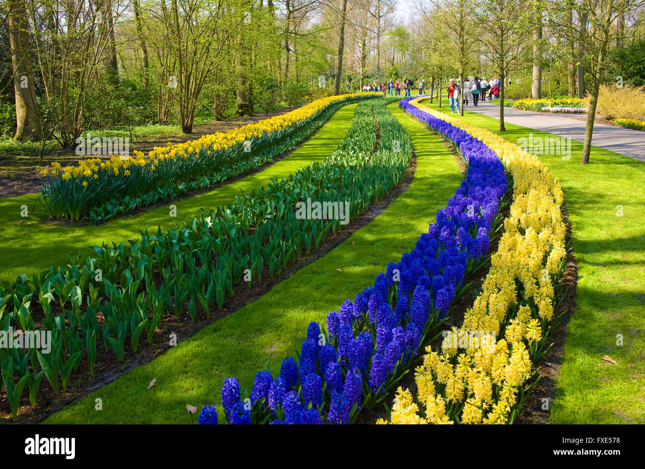 Le Keukenhof est un jardin de fleurs populaires qui est visité par un million de touristes de partout dans le monde. Banque D'Images