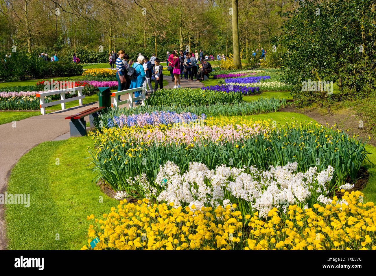 Les touristes visitent 'Keukenhof' au printemps. C'est un jardin de fleurs populaires avec plus d'un million de visiteurs par an. Banque D'Images