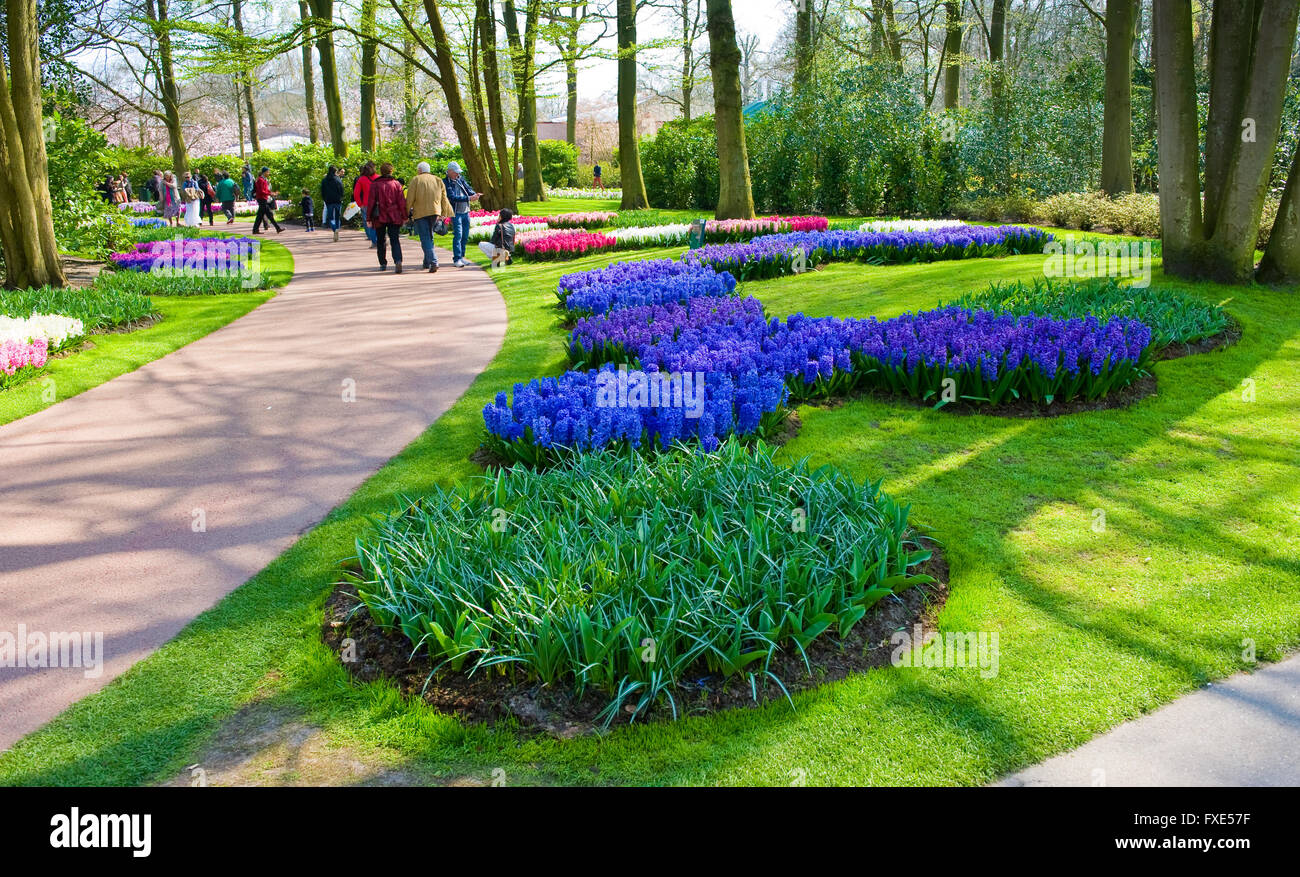 Les touristes visitent 'Keukenhof' au printemps. C'est un jardin de fleurs populaires avec plus d'un million de visiteurs par an. Banque D'Images