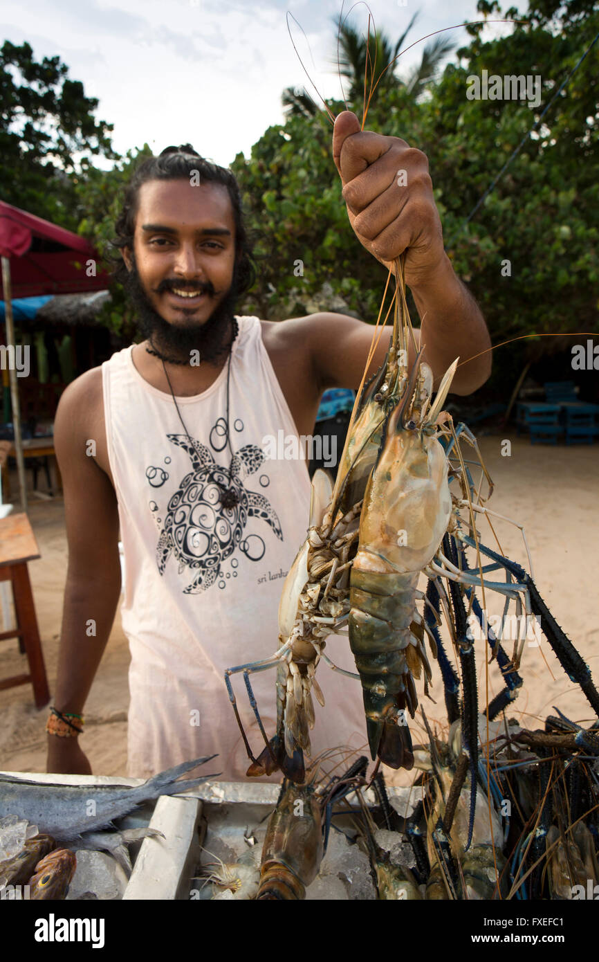 Sri Lanka Mirissa, plage, café, man holding up homard frais pour attirer des clients Banque D'Images