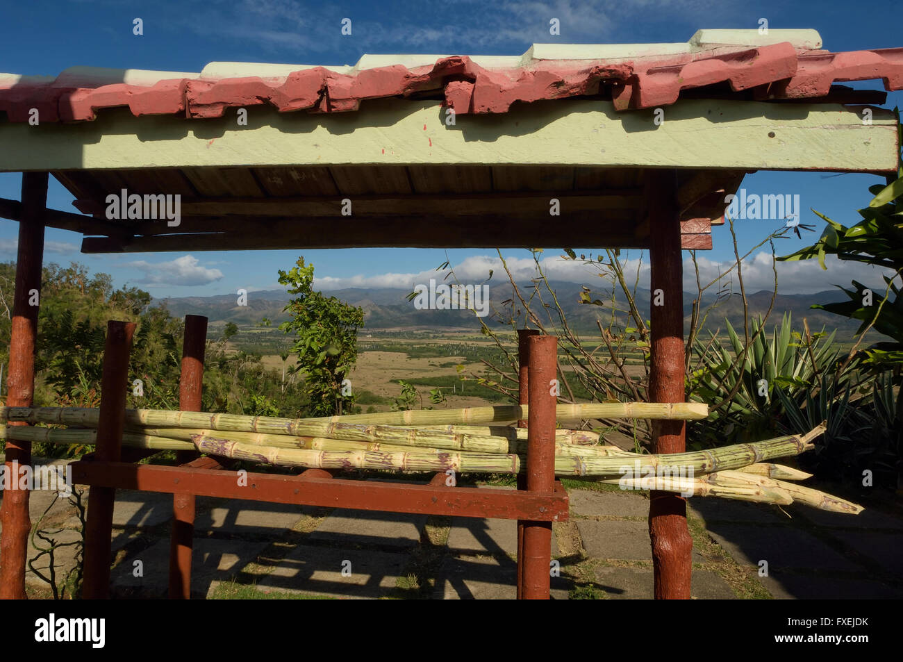 Vue panoramique de la Valle de los Ingenios. La vallée de moulins à sucre. Cuba Banque D'Images