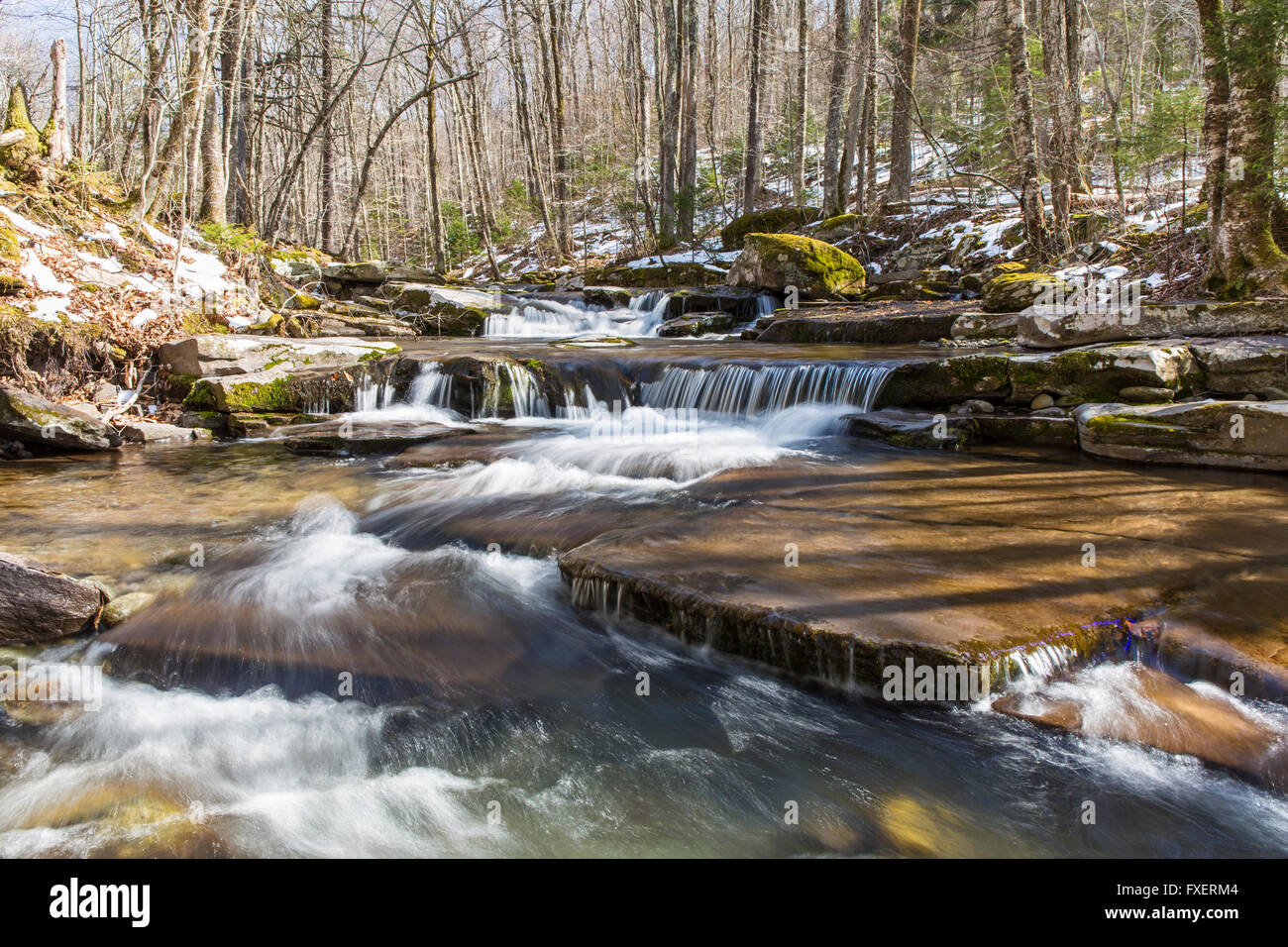 L'eau tombe doucement sur les strates rocheuses à l'ouest de tuer dans les Catskills Mountains of New York. Banque D'Images