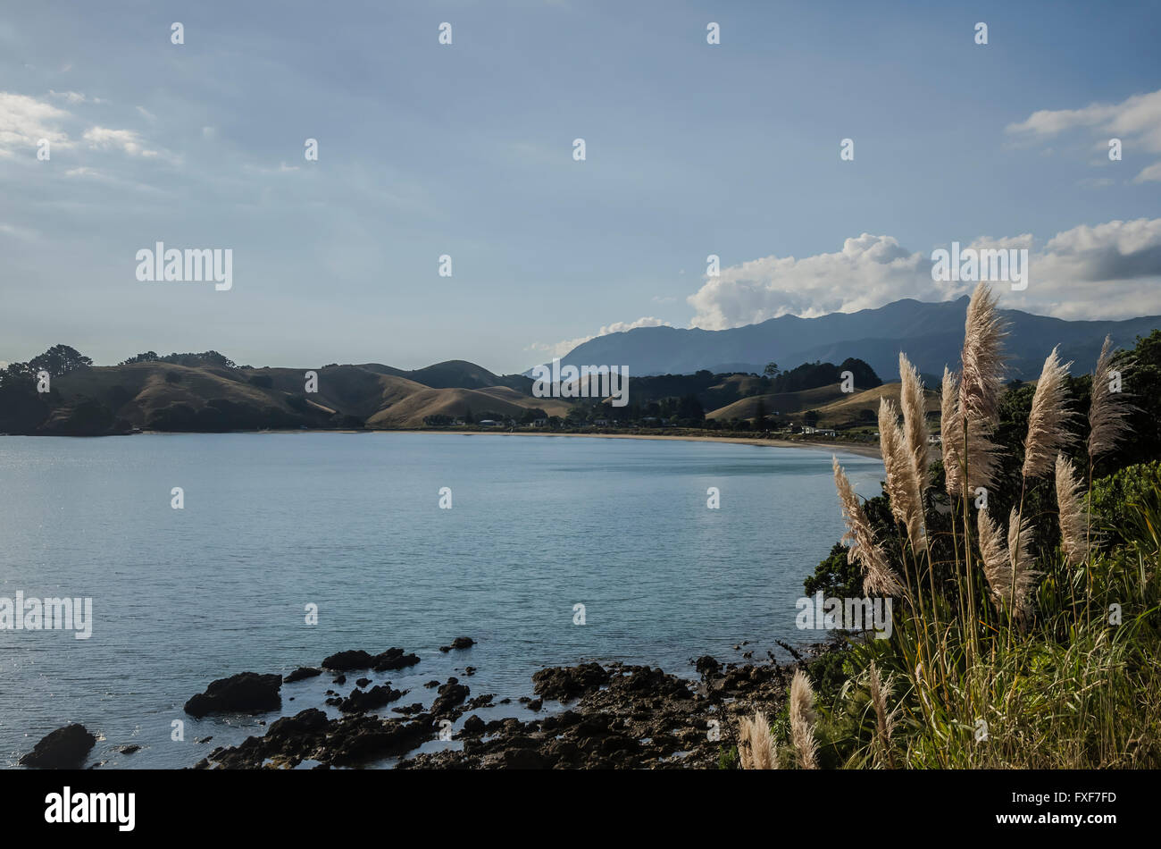 Paysage de Nouvelle-Zélande, île du Nord, péninsule de Coromandel Banque D'Images