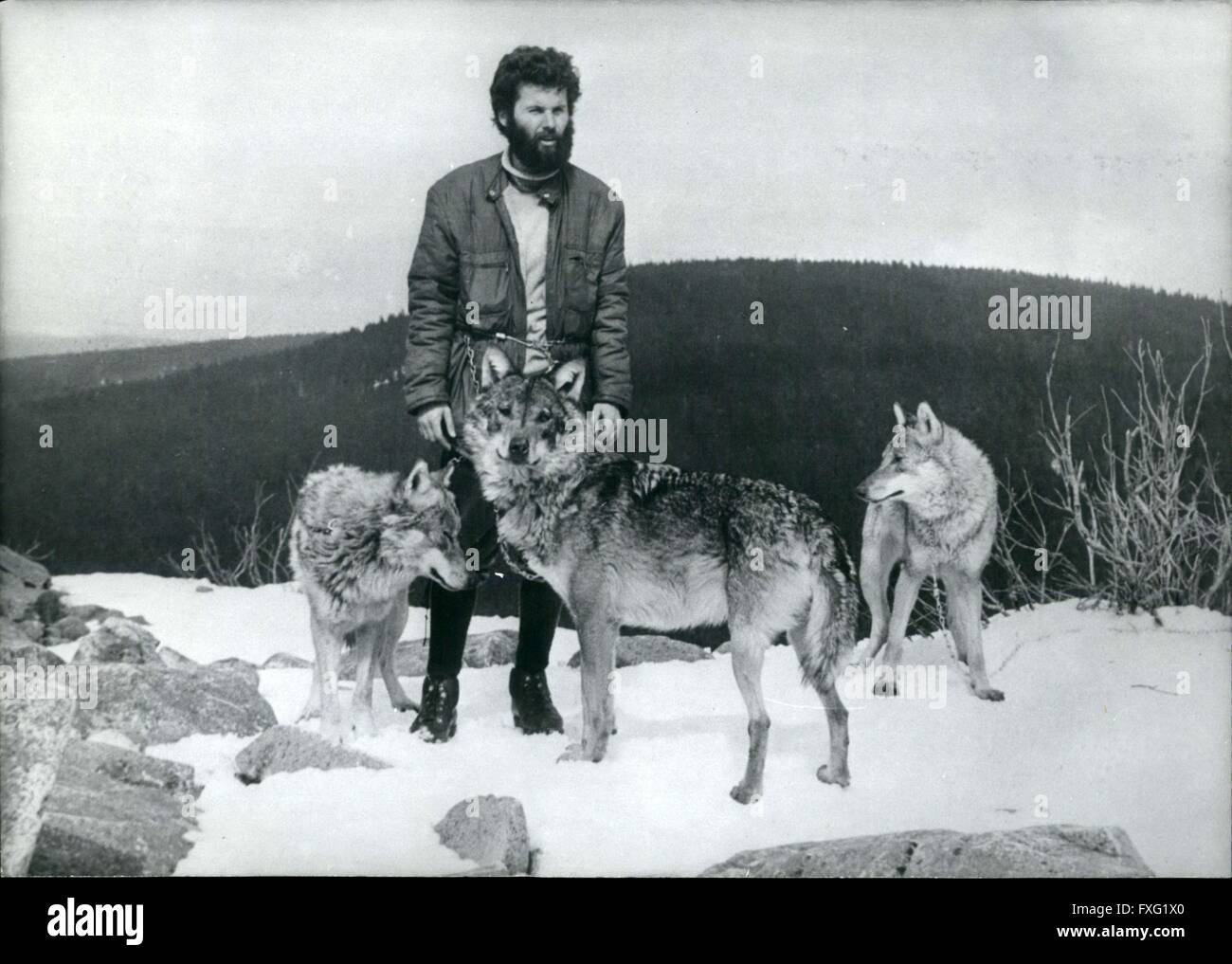 1976 Une fois de plus de loups dans la forêt bavaroise, WAllemagne