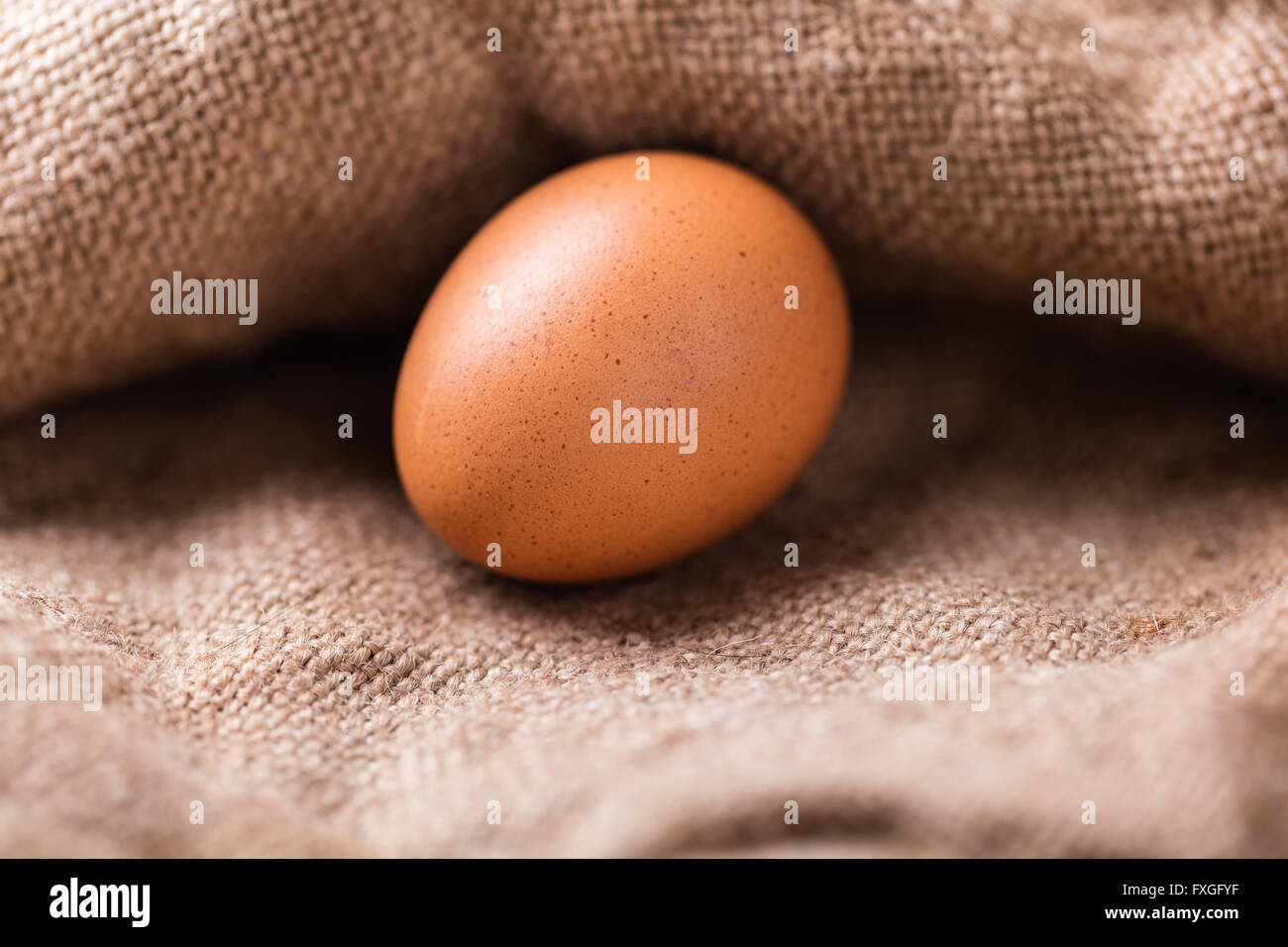 Faire revenir le poulet sur un gros plan d'oeufs vintage background Banque D'Images