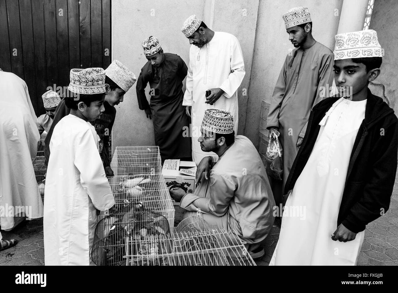 Le vendredi, marché aux oiseaux, Ad Dakhiliyah Nizwa, Oman Région Banque D'Images