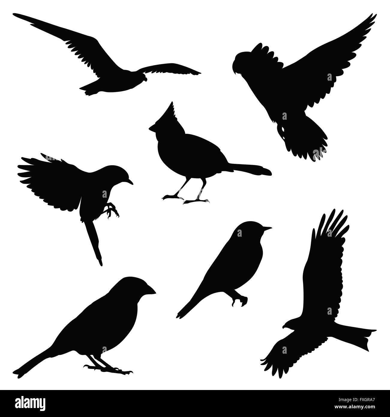 Illustration Silhouette oiseau set Banque D'Images