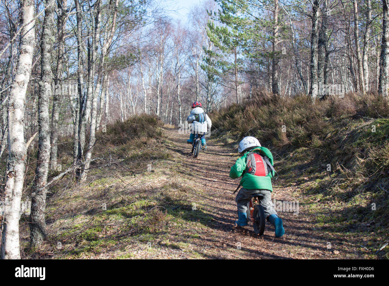 L'apprentissage des enfants à vélo sur un chemin à travers les bois, suspendre le vélo et randonnée vélo. Banque D'Images