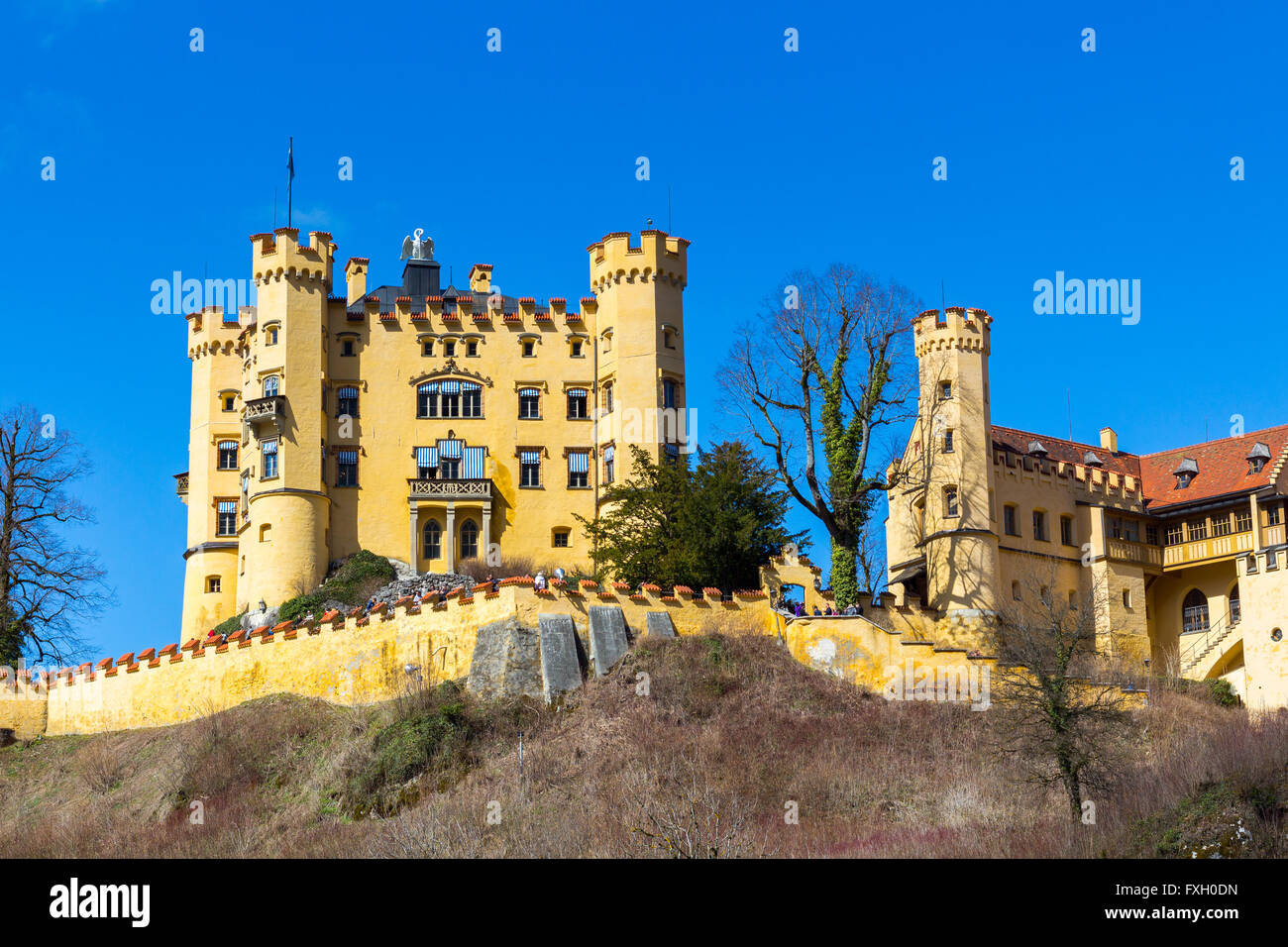 Le château de Hohenschwangau en Allemagne. Bavière Banque D'Images